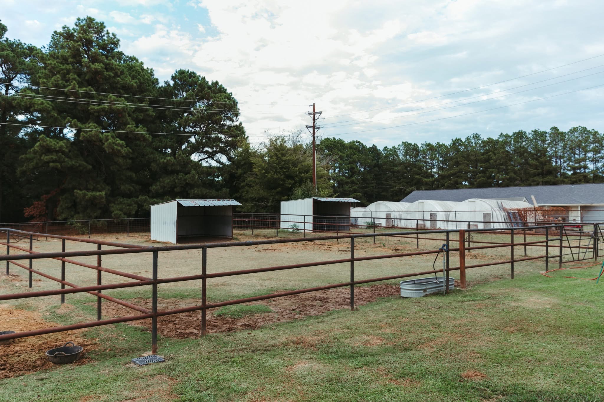 Paddocks