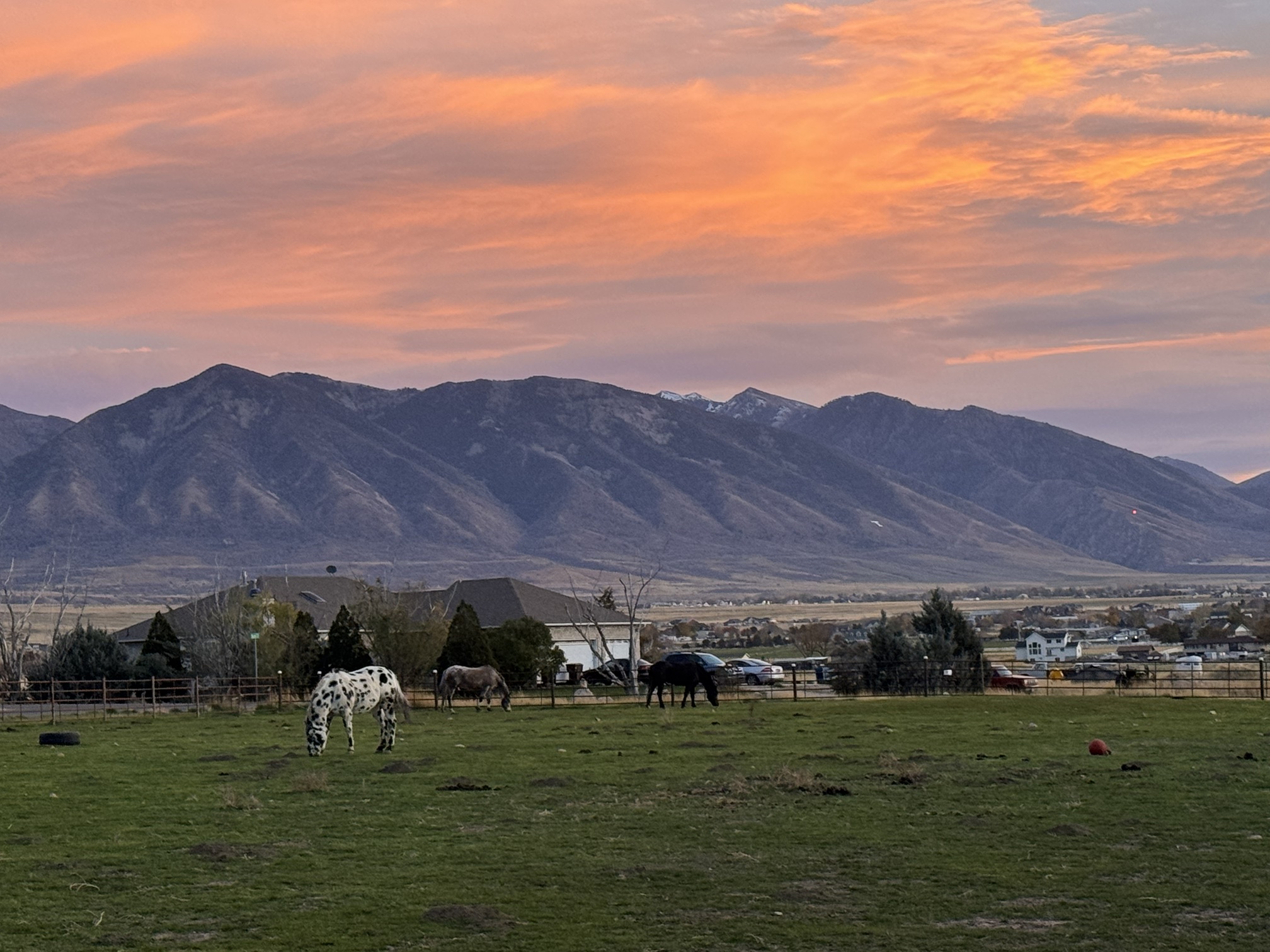Sunset over the pasture at Moncur Ranch & Equine