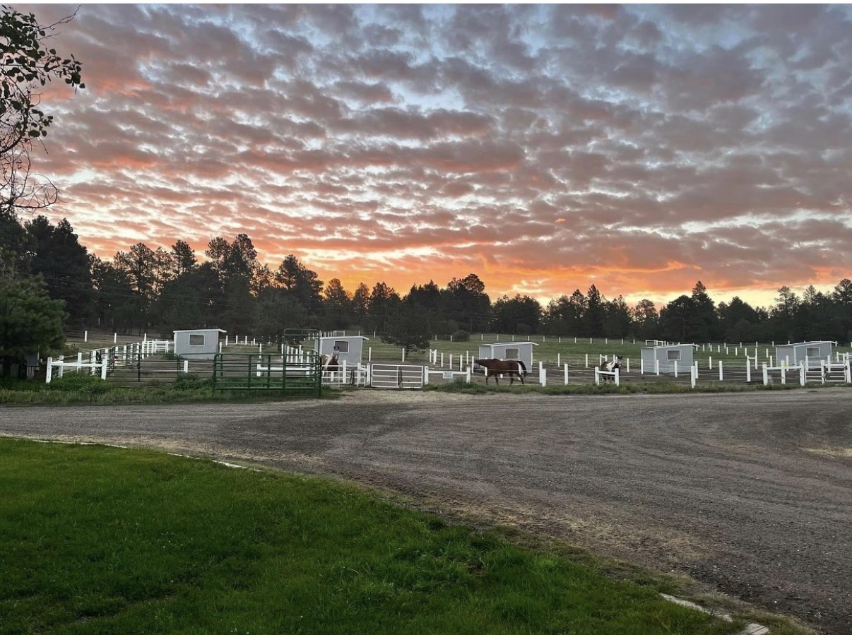 Paddocks