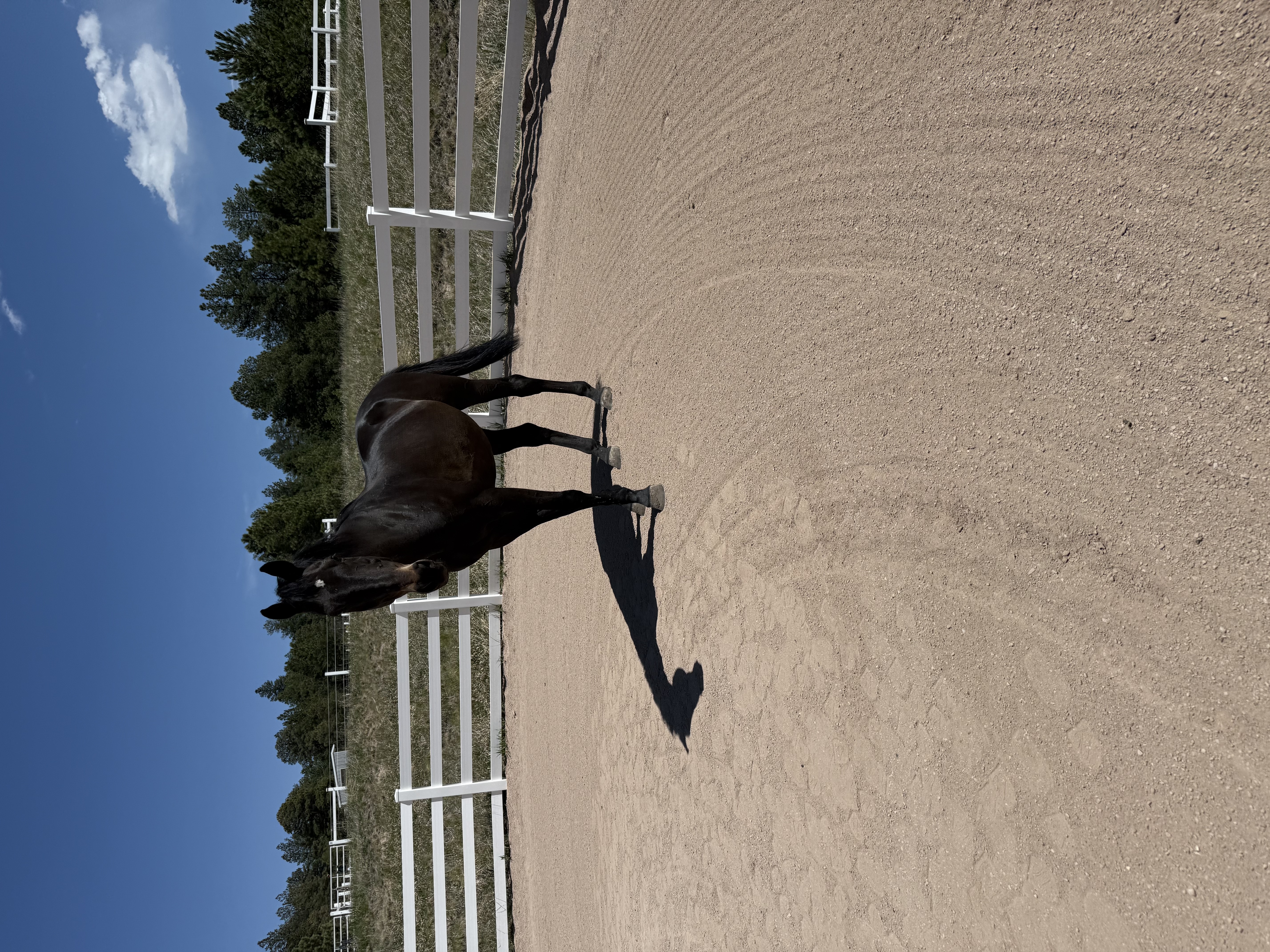 Roundpen