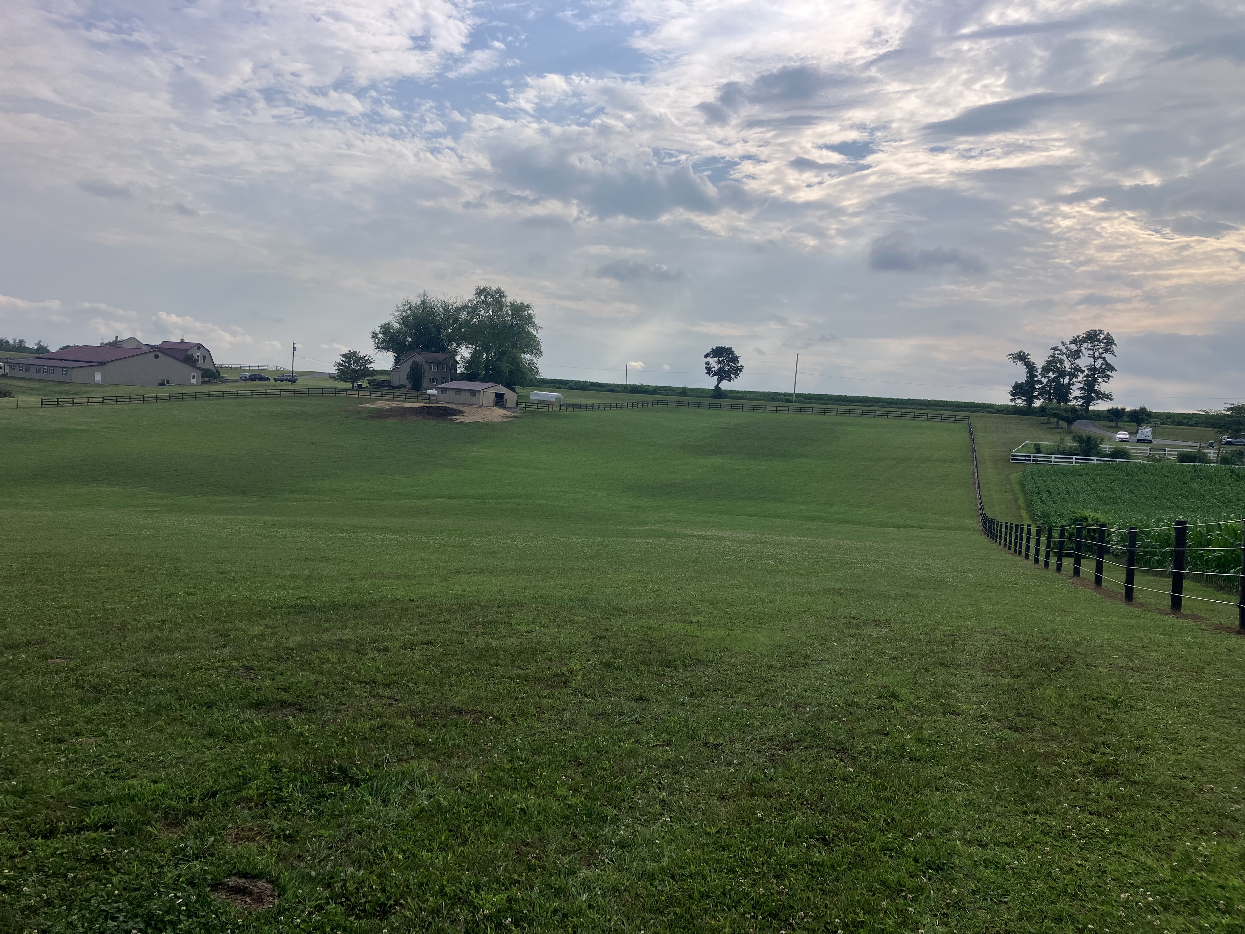 Pasture