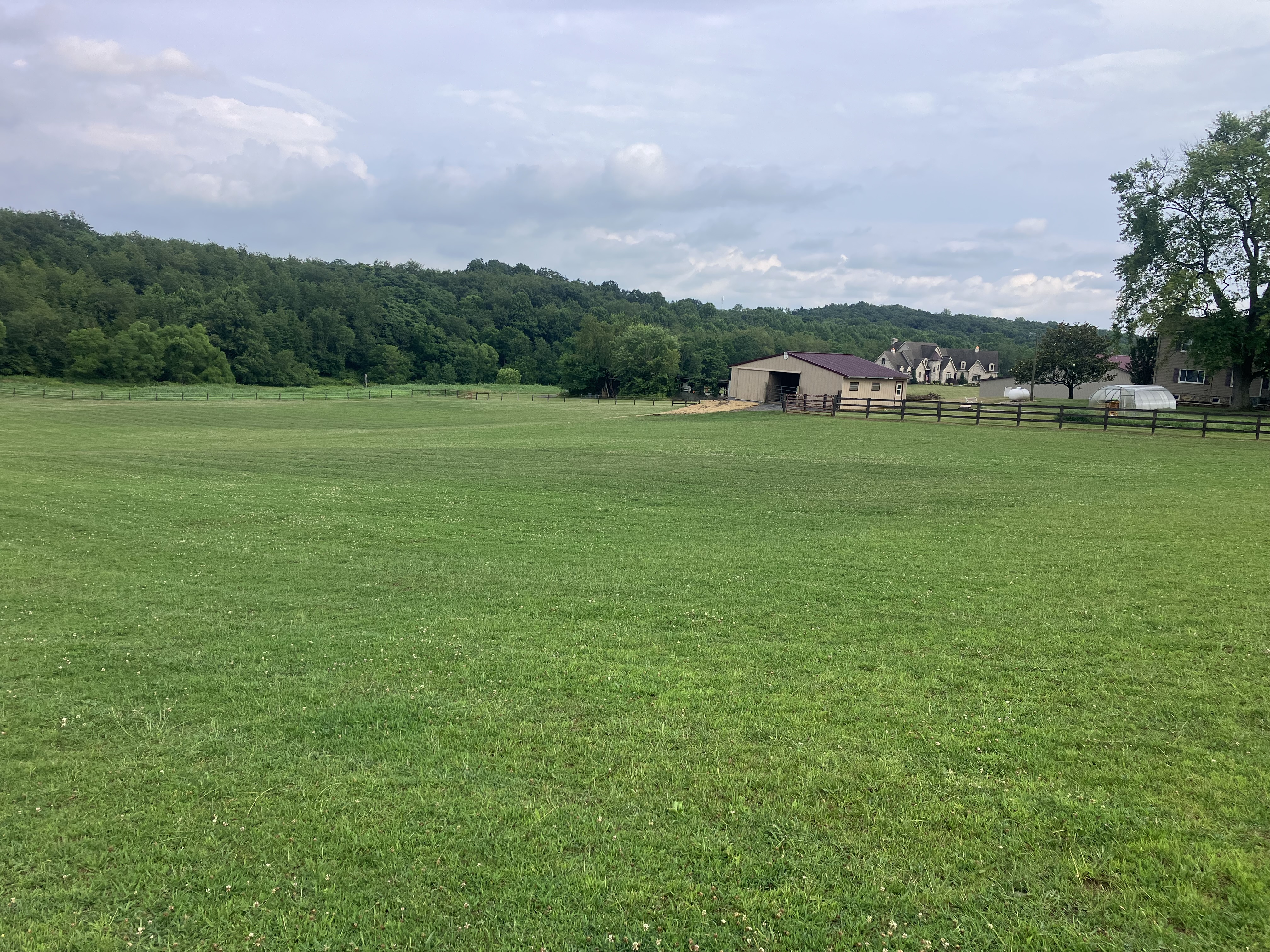 Pasture