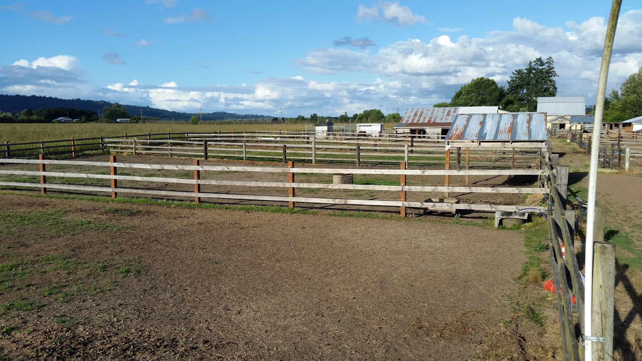 Pasture