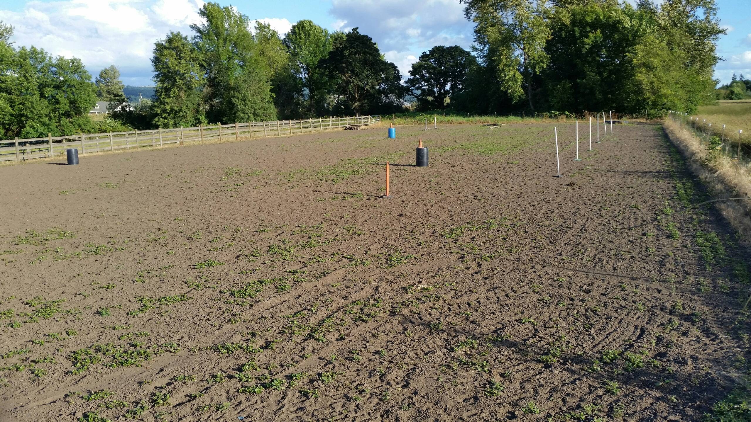 Outdoor arena