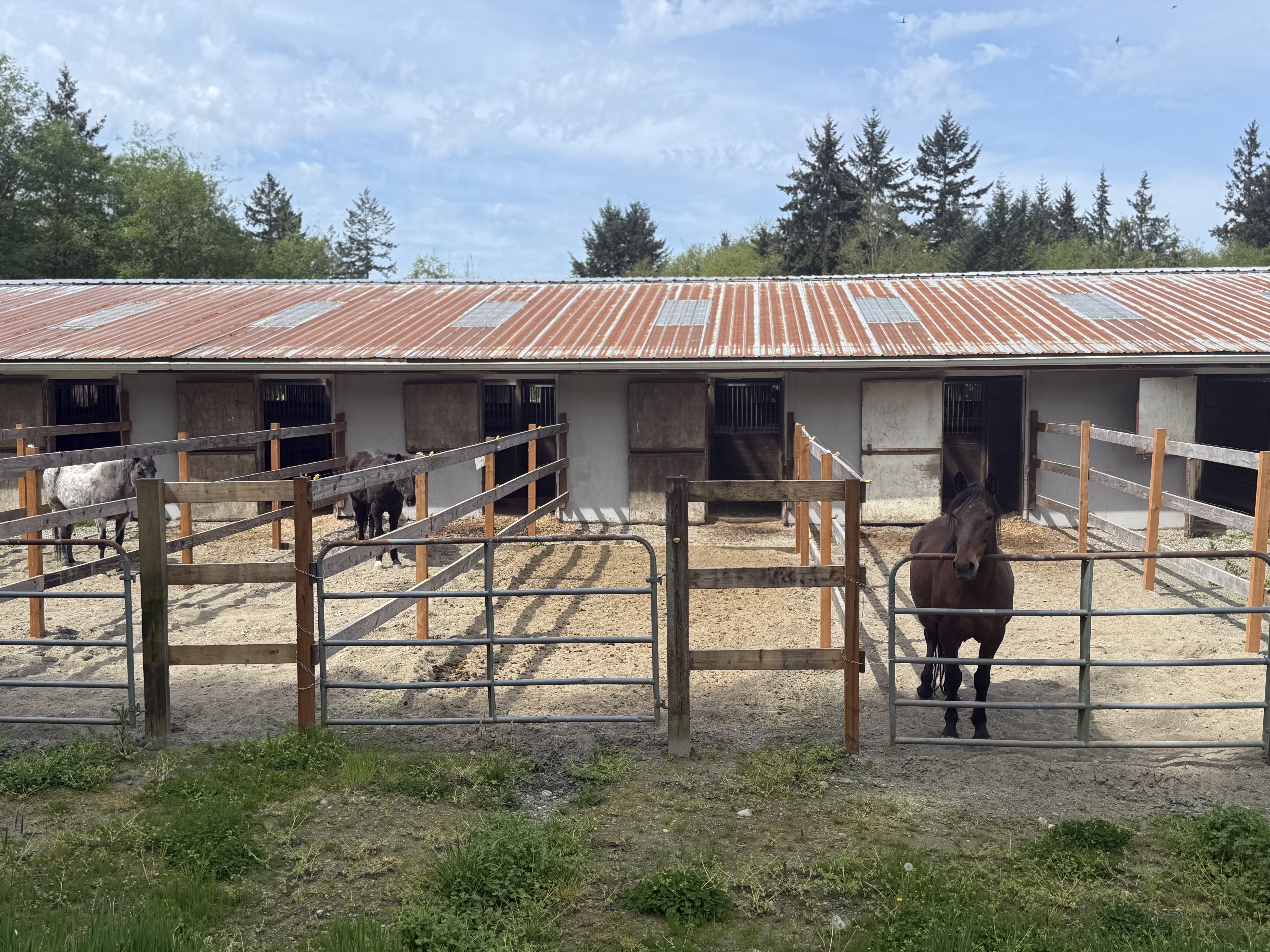 Paddocks