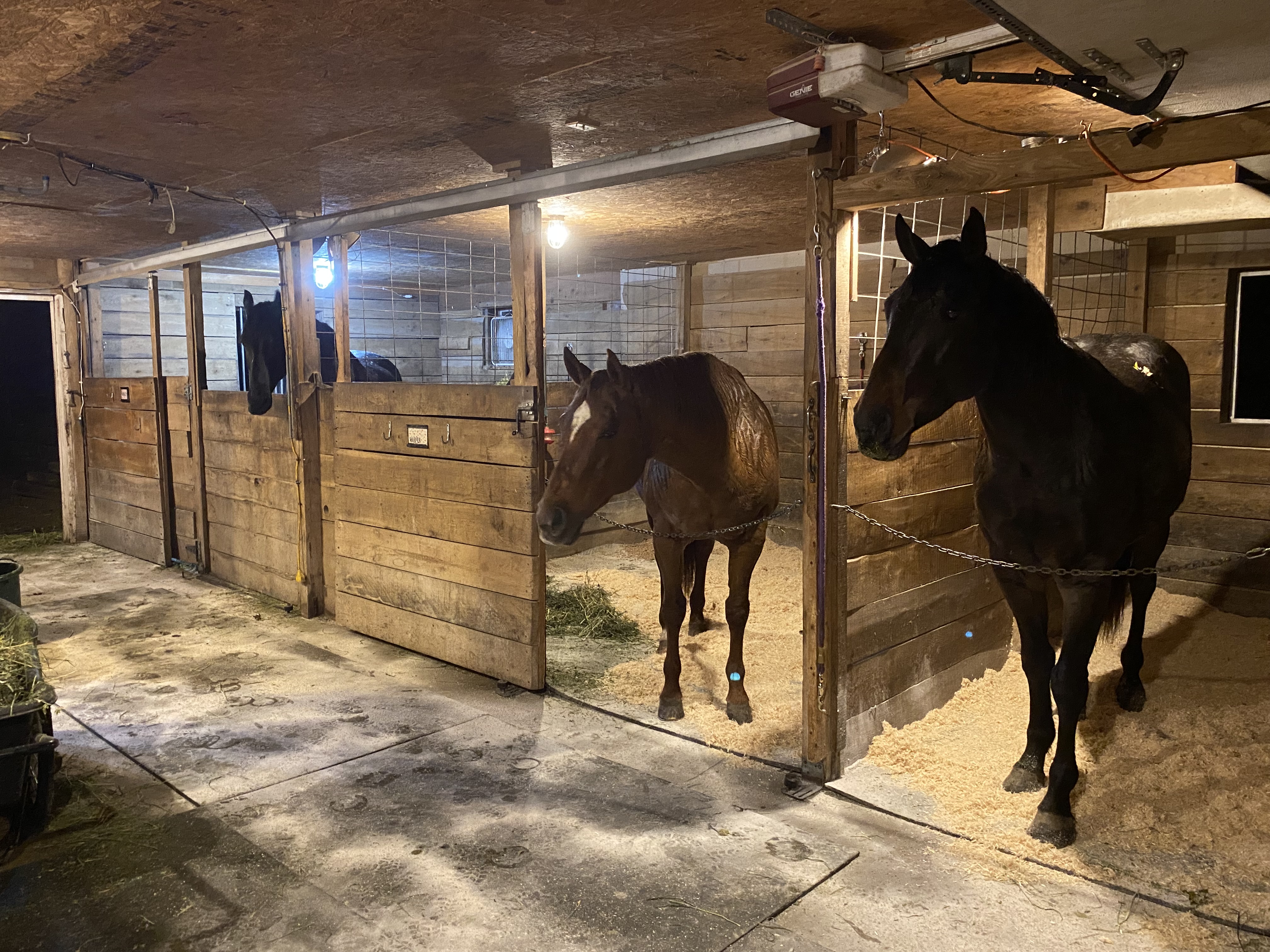 Full care stall board with pasture