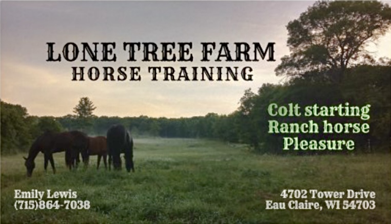 Lone Tree Farm Horse Training