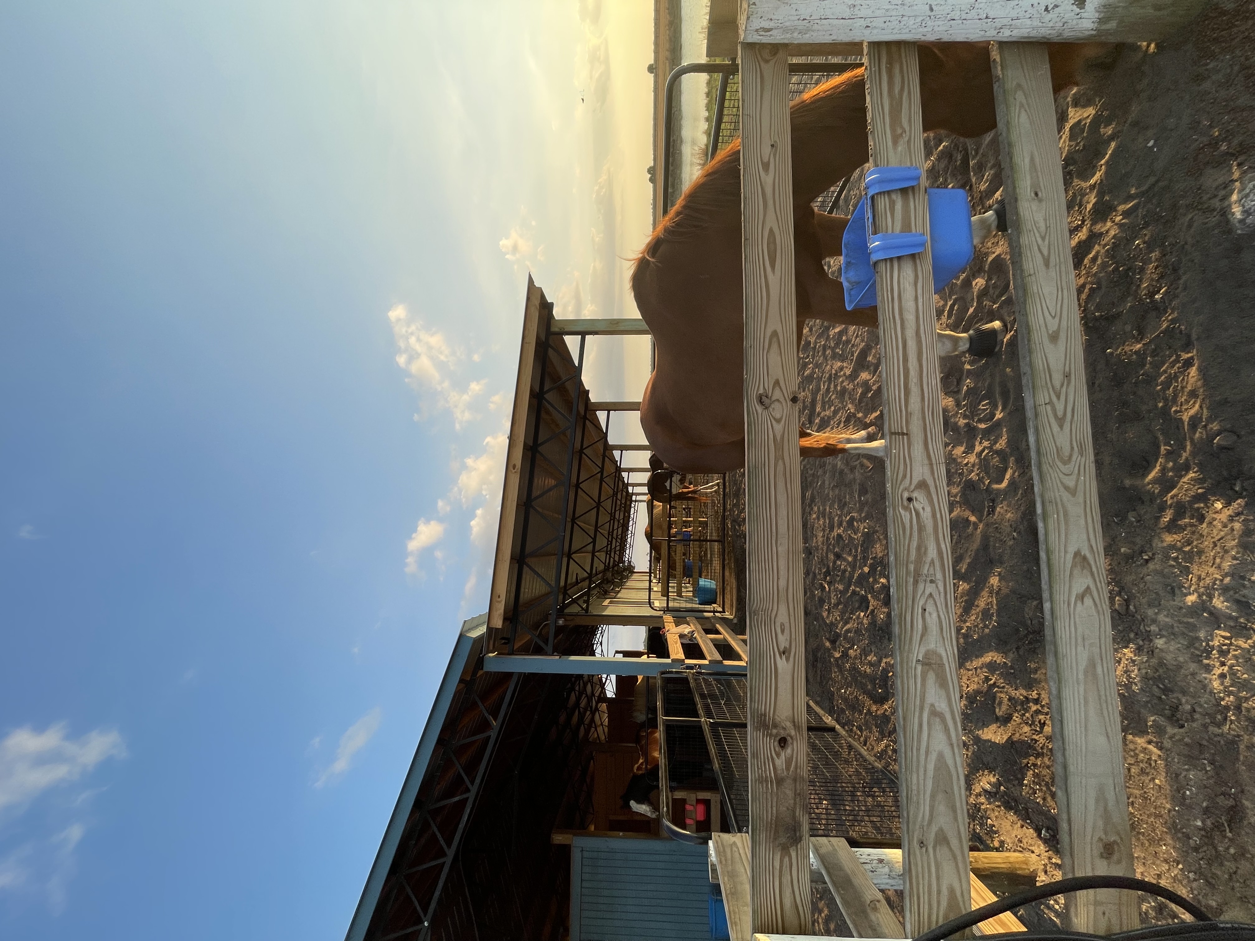 West lean-to