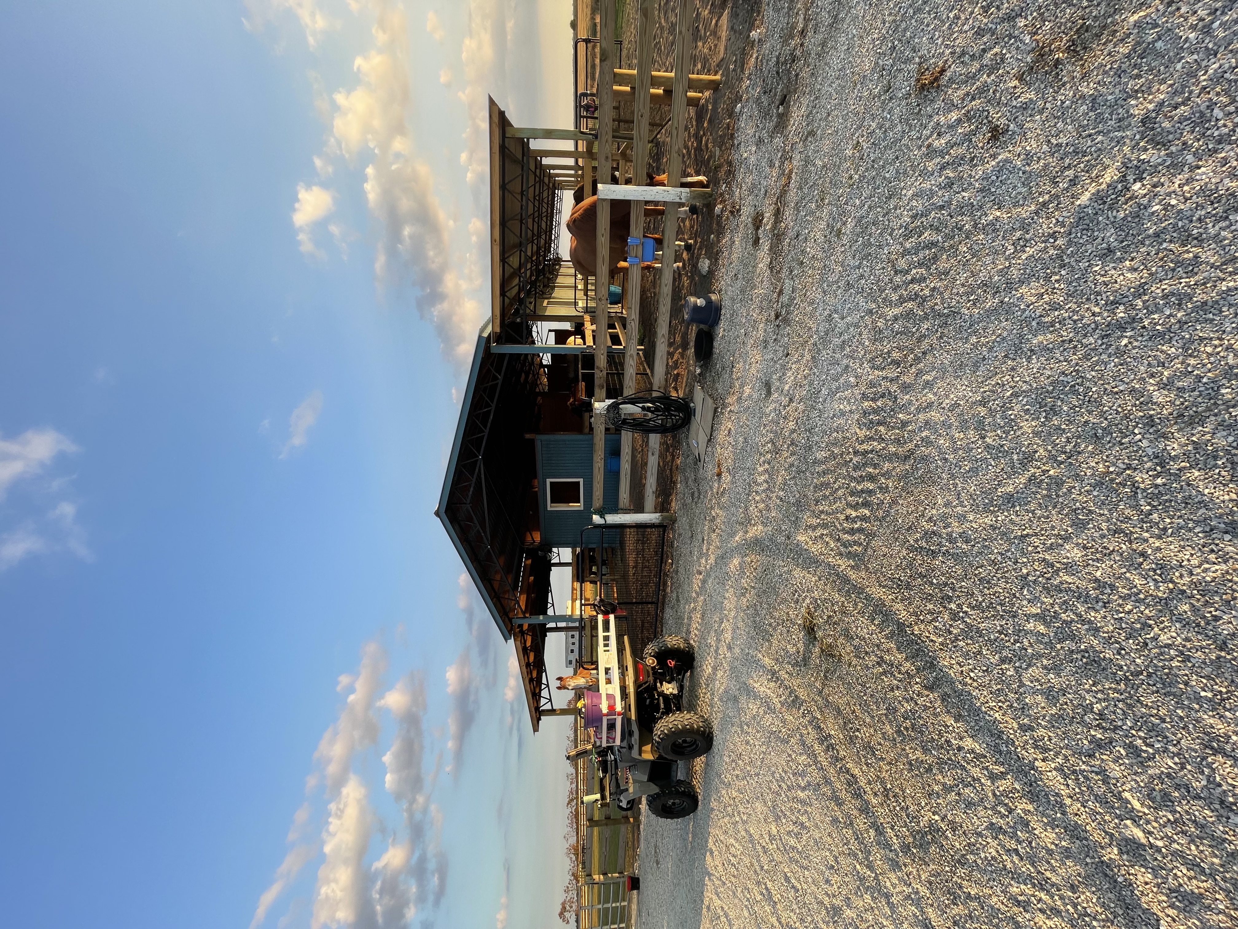 Horse barn