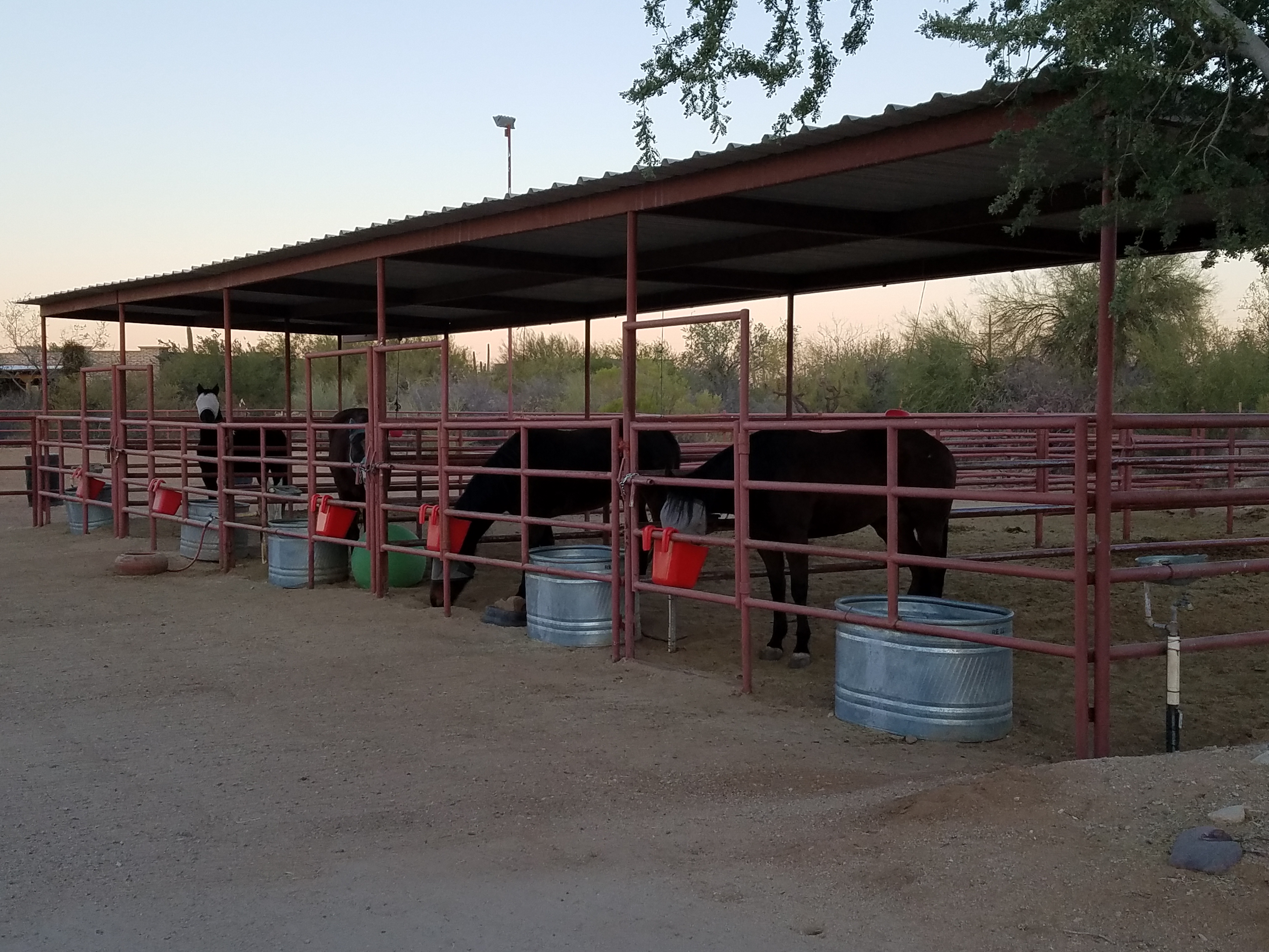 12x40 outside covered corrals