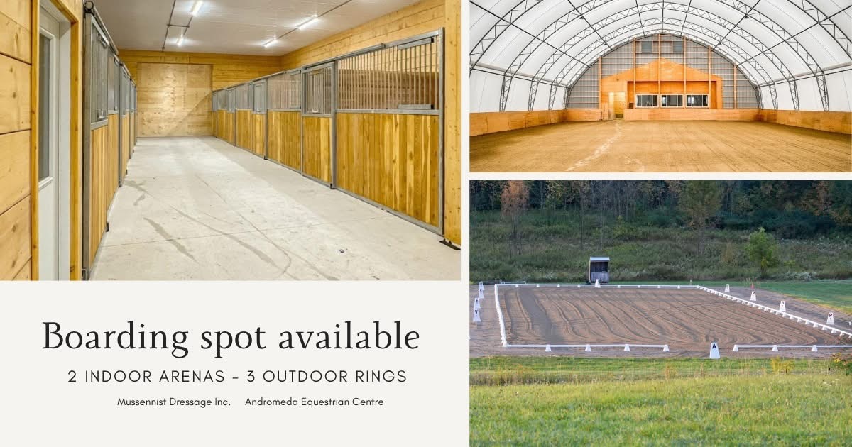 Horse facility