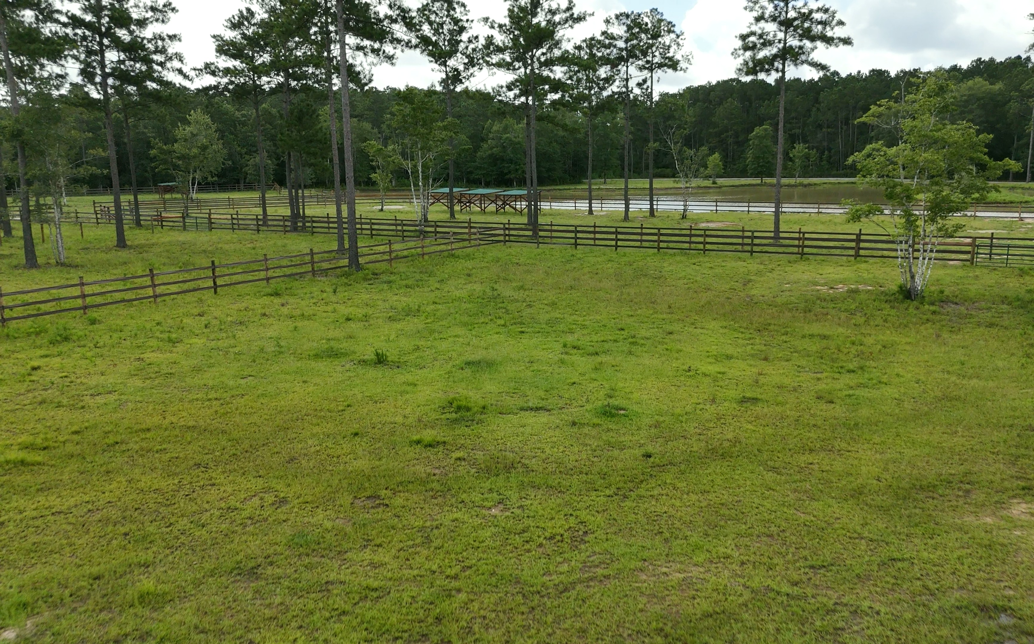 Grassy pastures