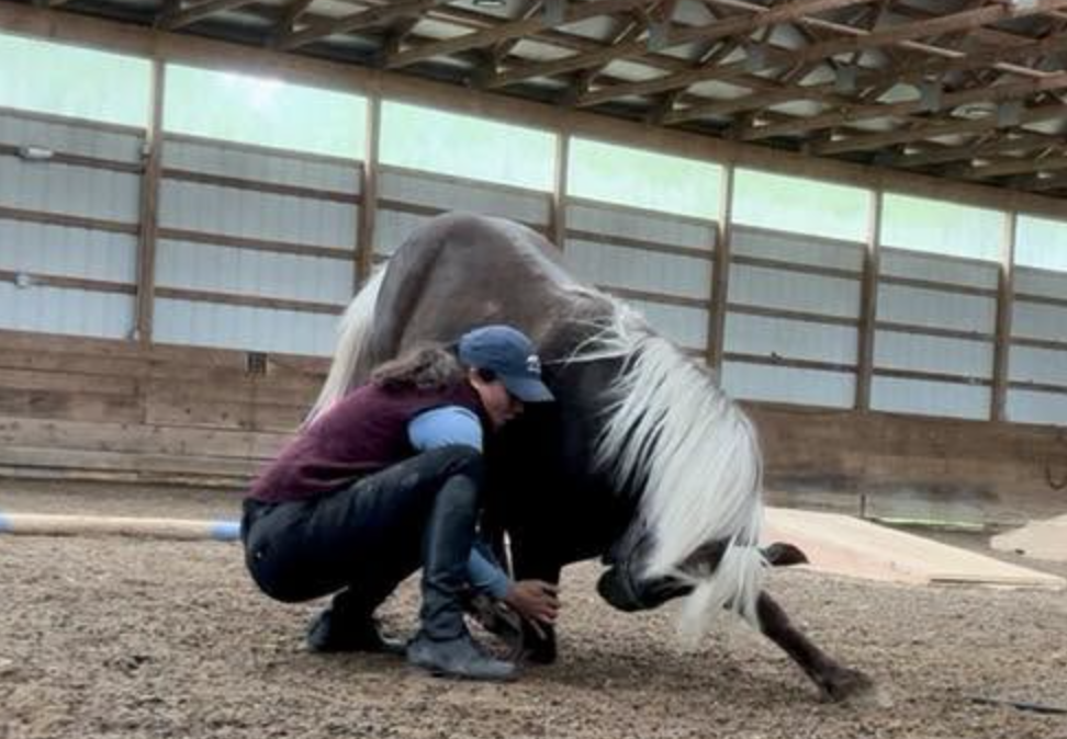 stretching and strengthening even for our small friends