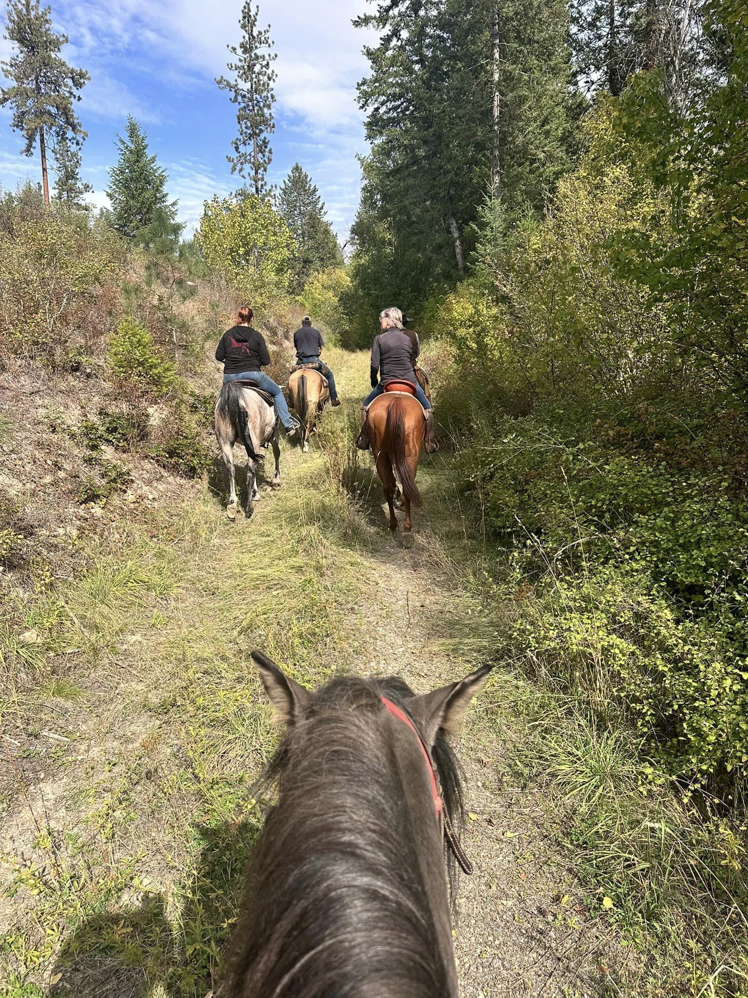 group trail rides