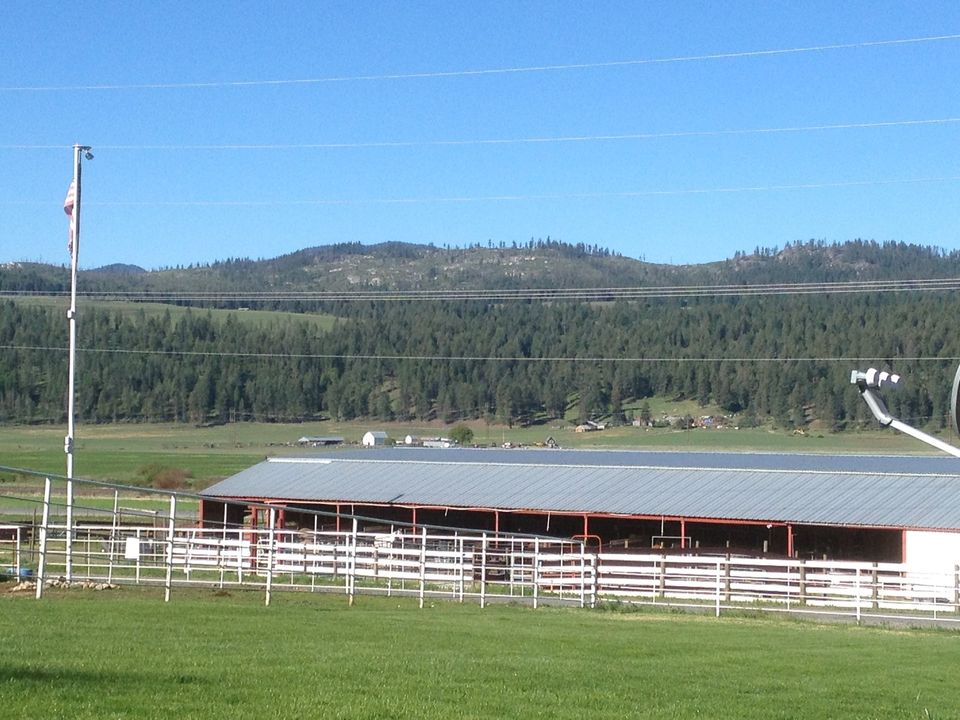 Stable and Arena