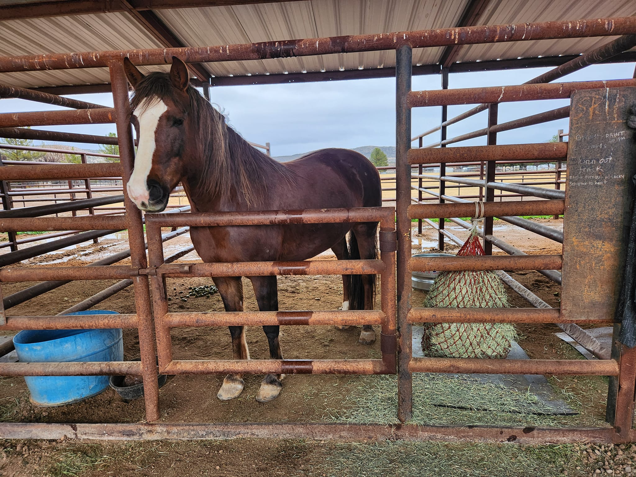 Pipe stalls