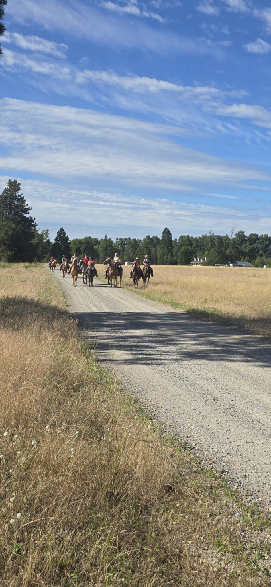 Riding into town for the parade