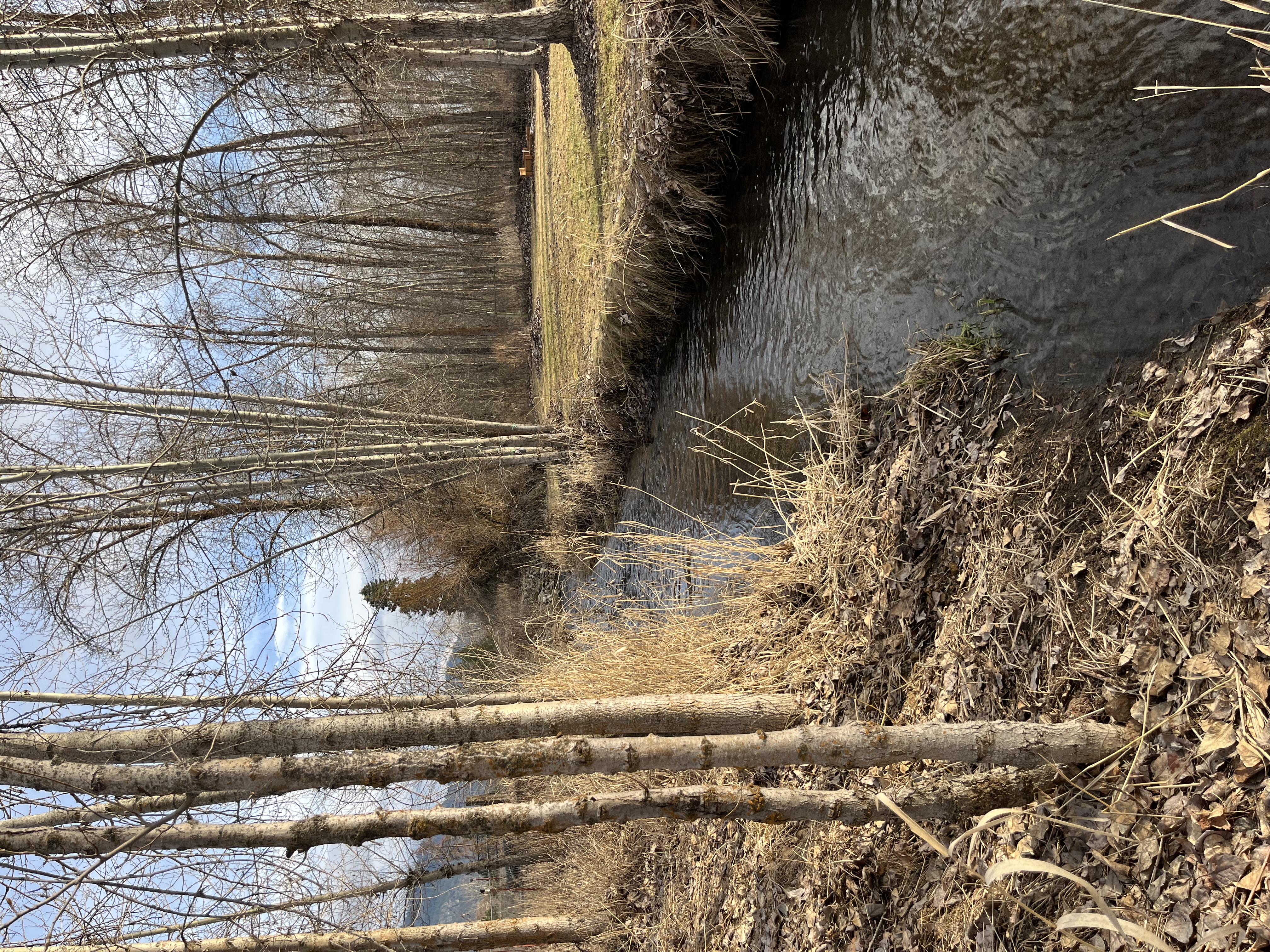Year round creek