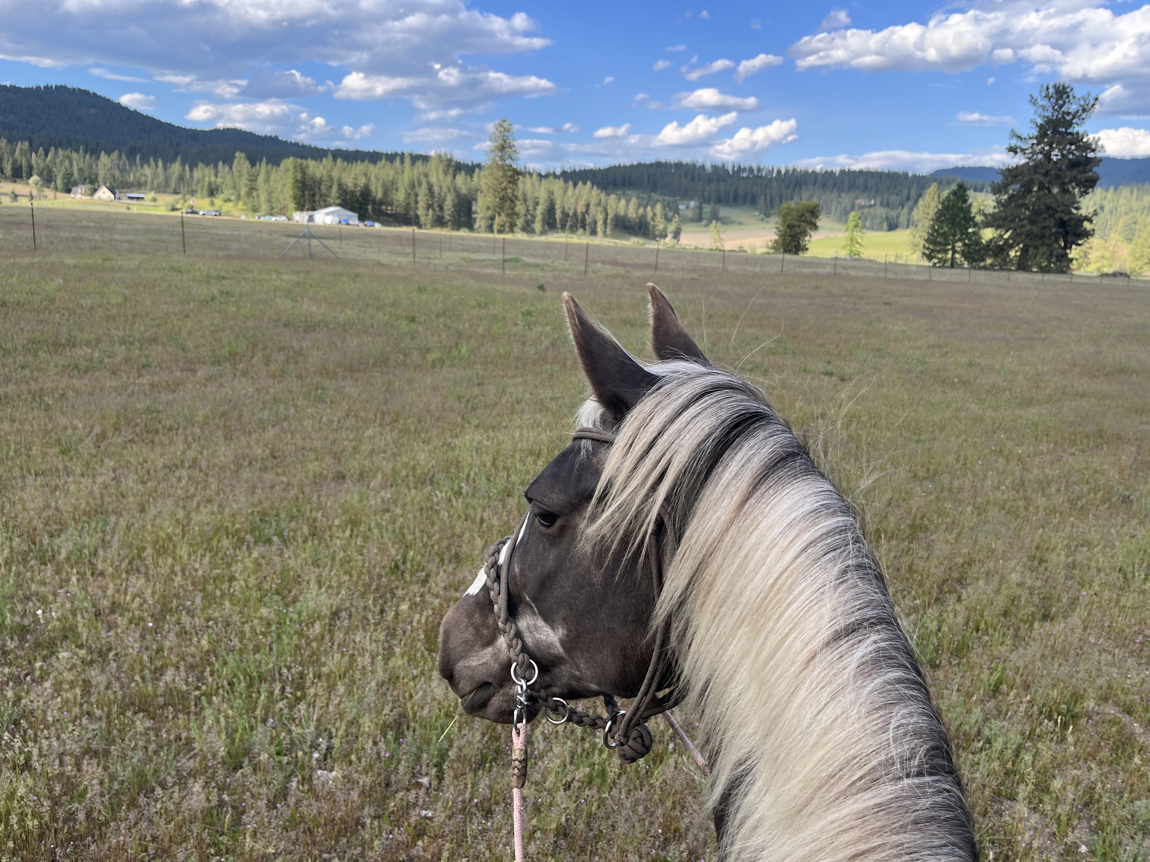 Mountain View’s surrounding ranch