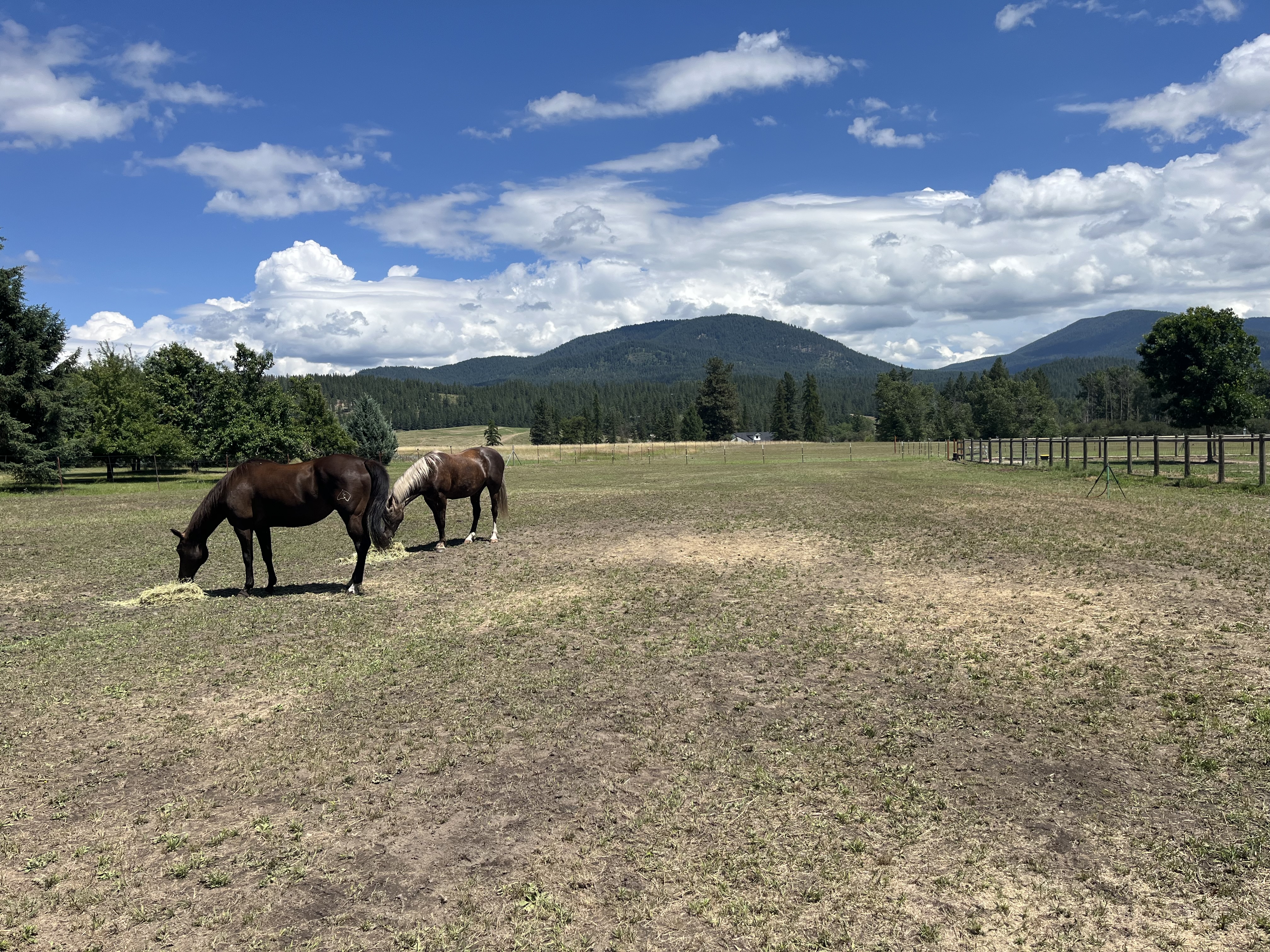 View from one of the three pastures
