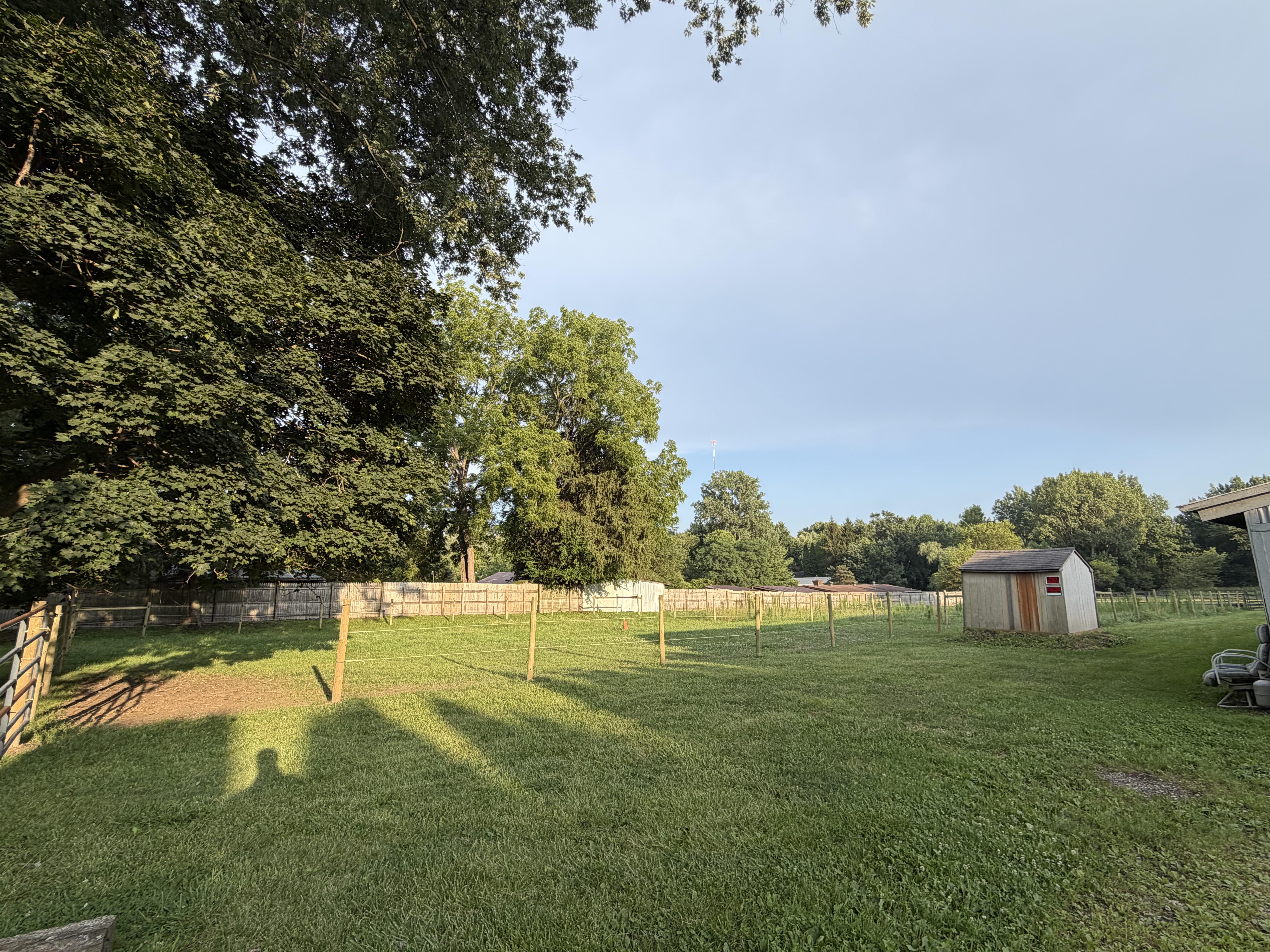 Pasture