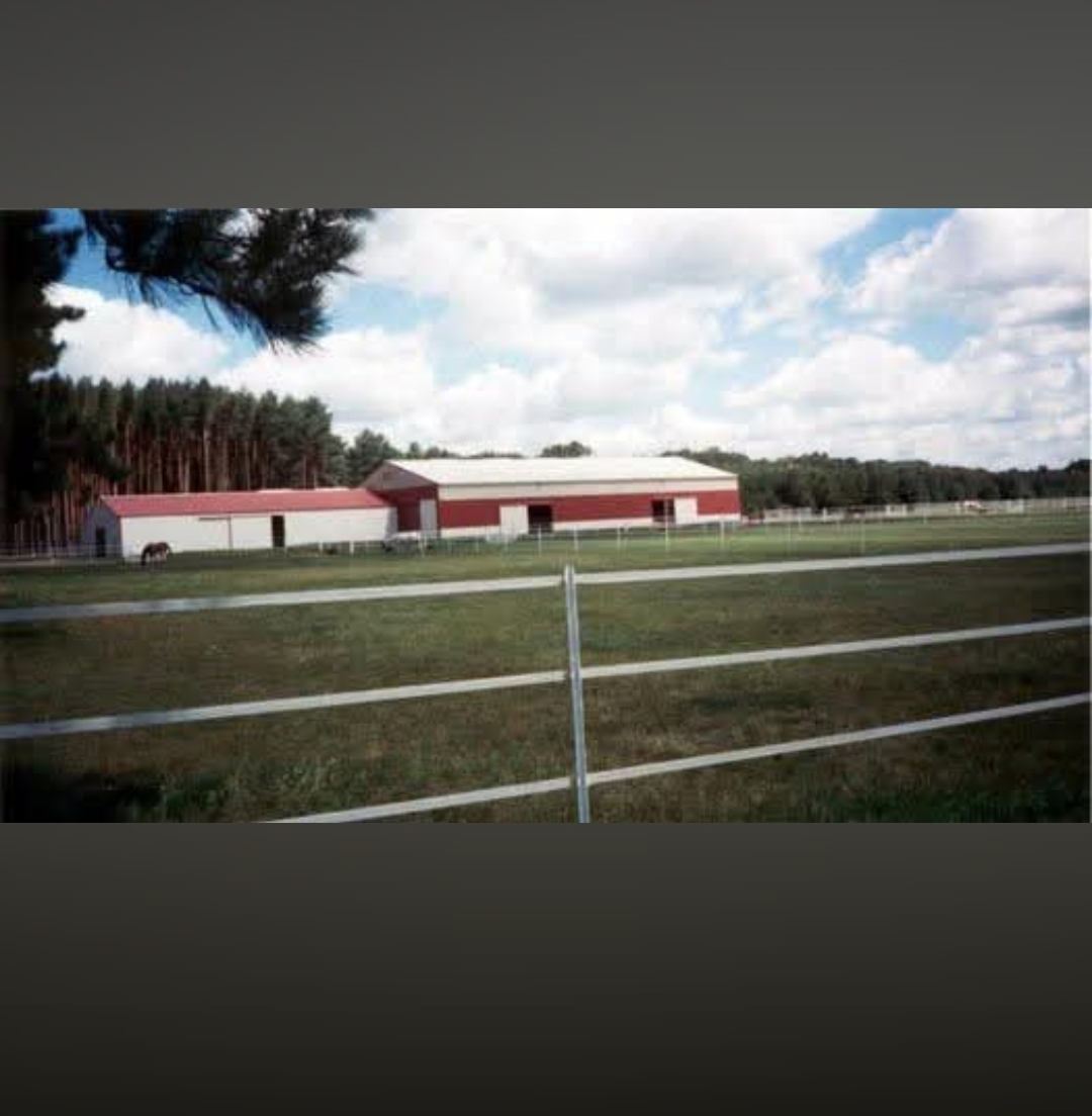 Neu-View Stables