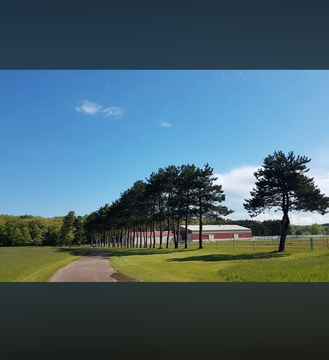 Neu-View Stables