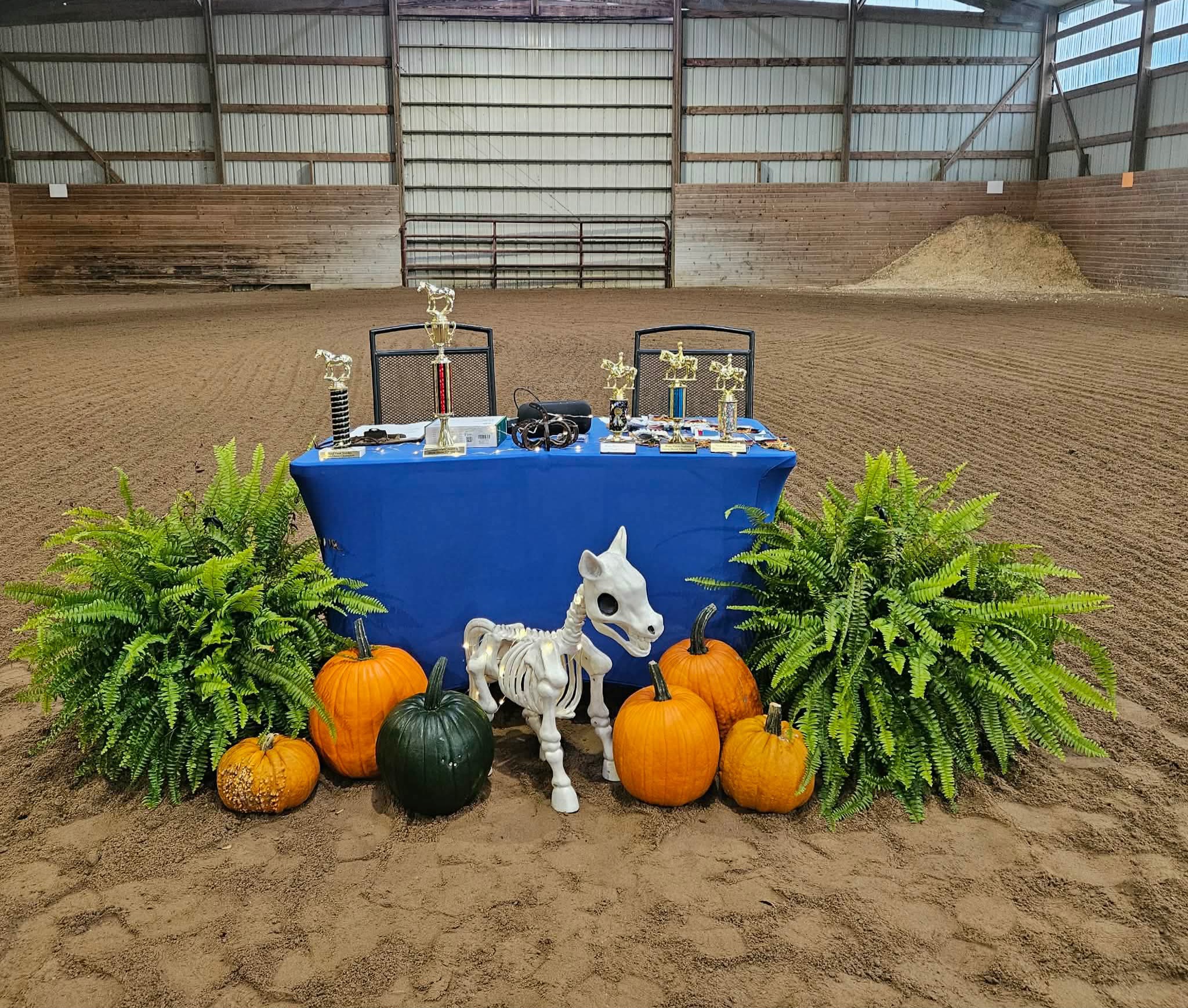 2026 Barn Show Center Ring