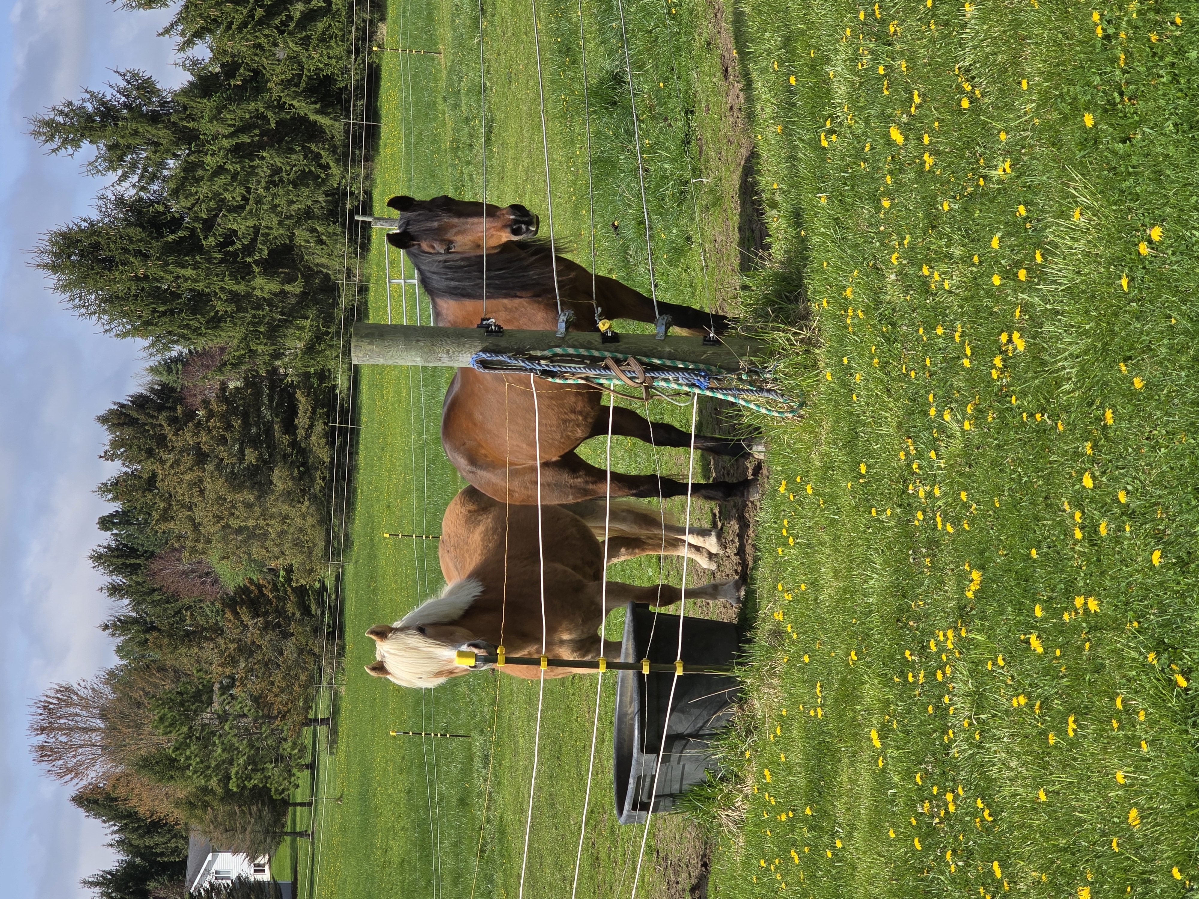 New Horizons Farm LLC