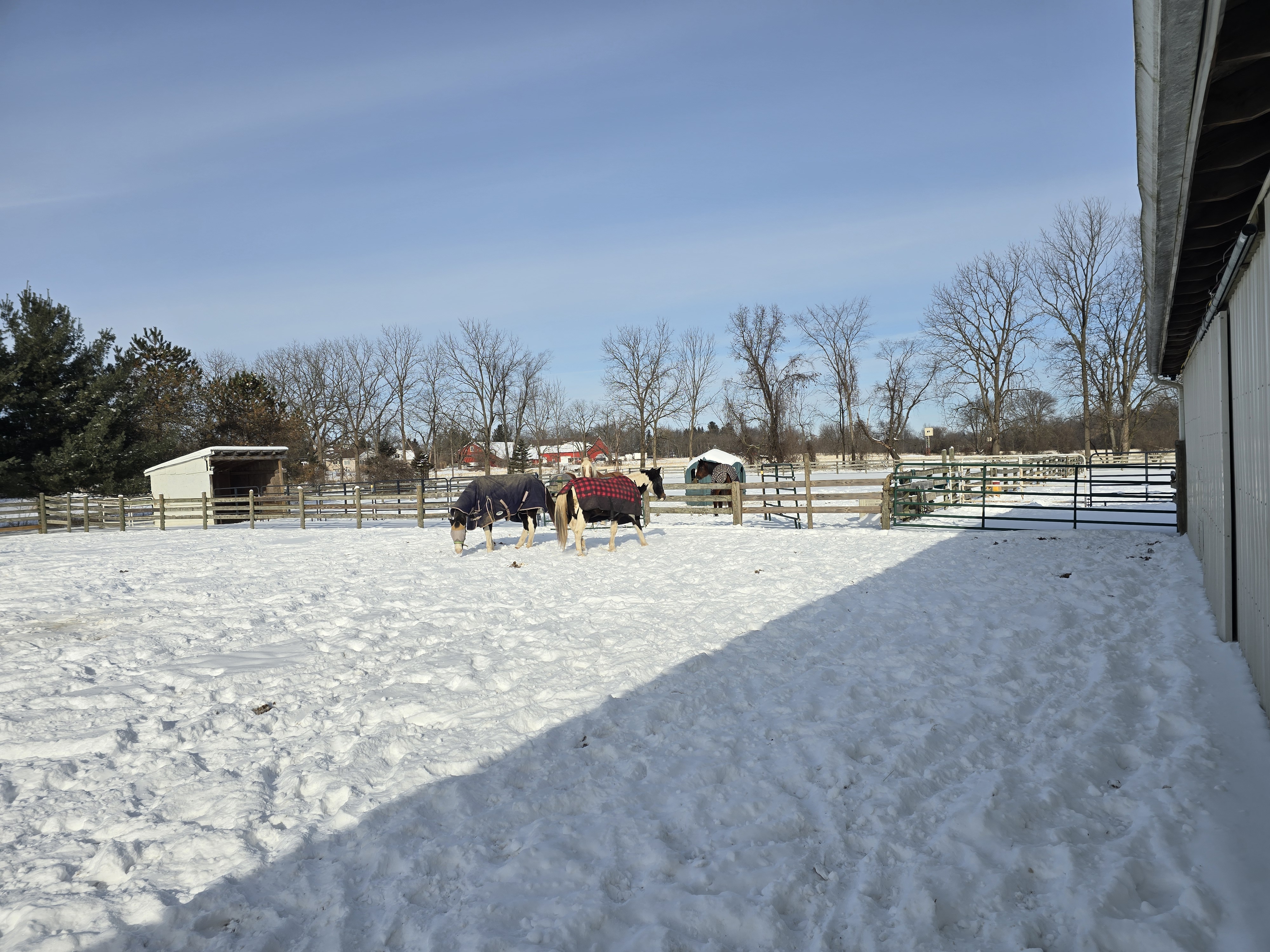 New Horizons Farm LLC
