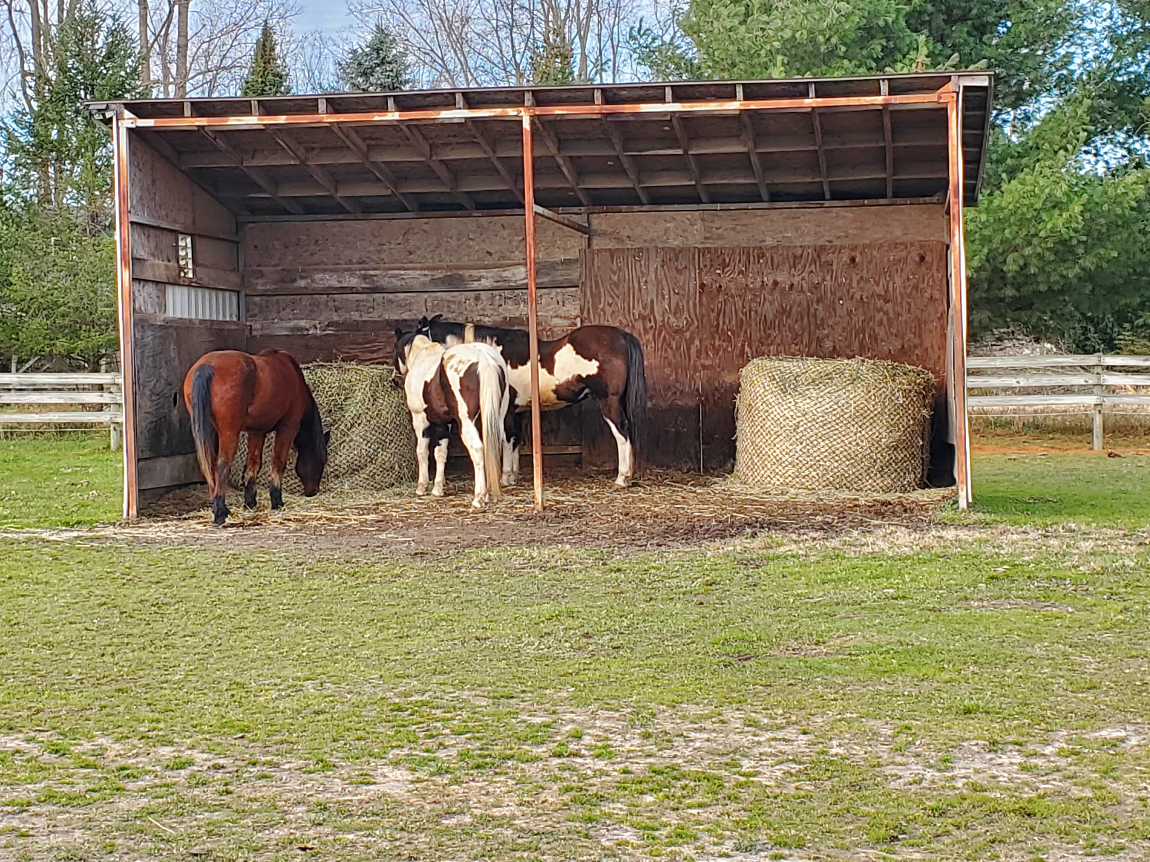 New Horizons Farm LLC
