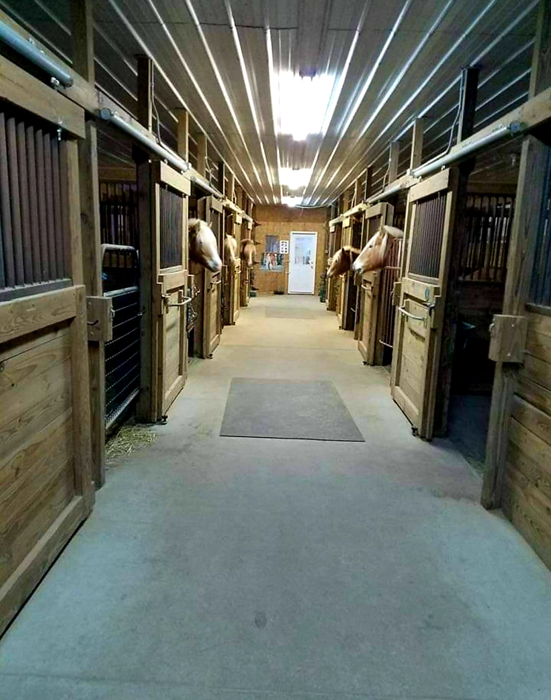 New Horizons Farm LLC