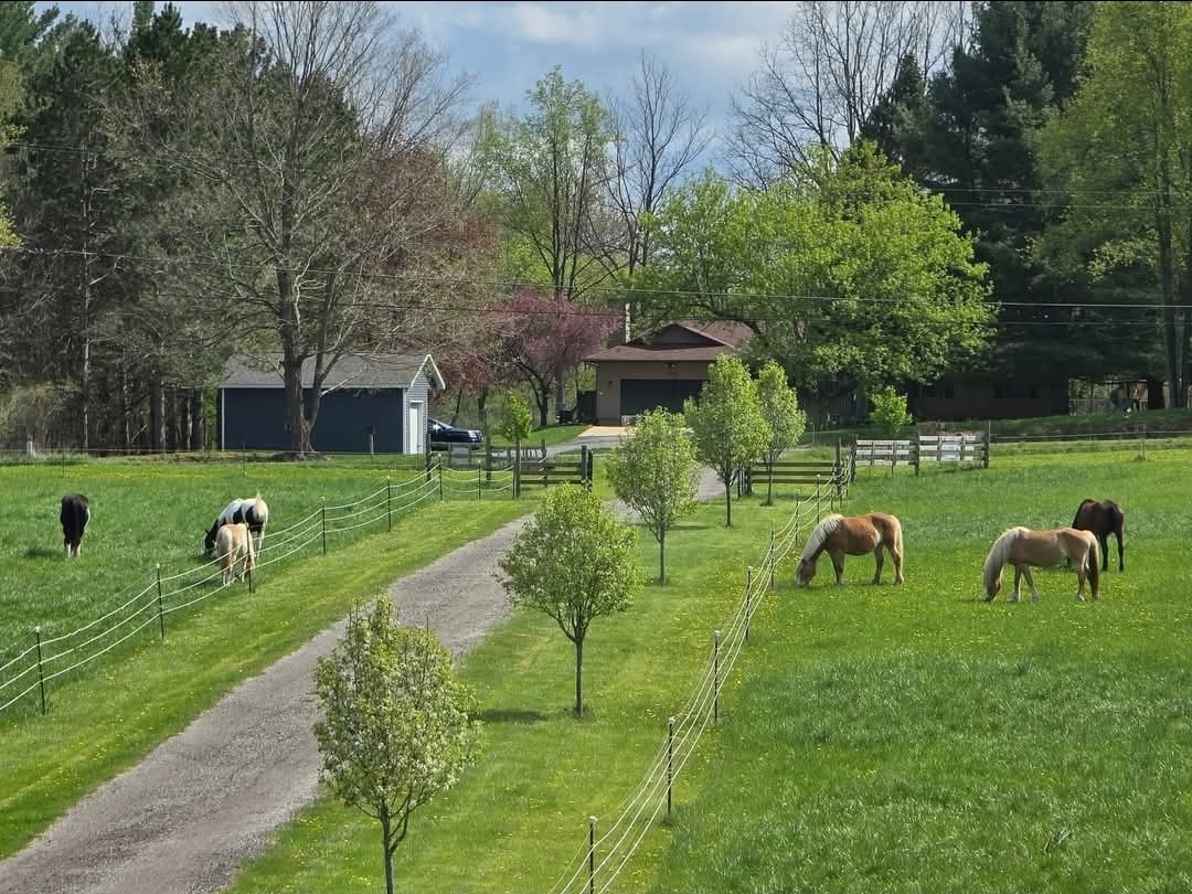 New Horizons Farm LLC