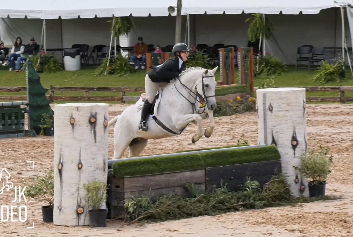 And we horse show!!