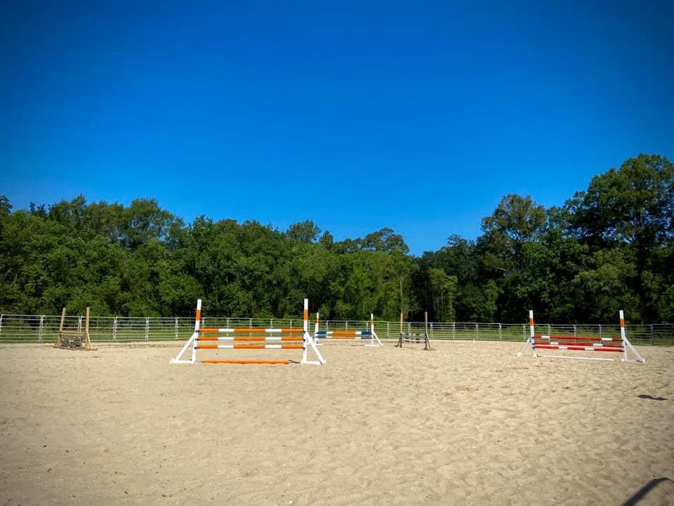 Arena