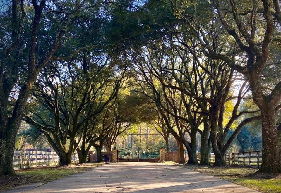 Driveway