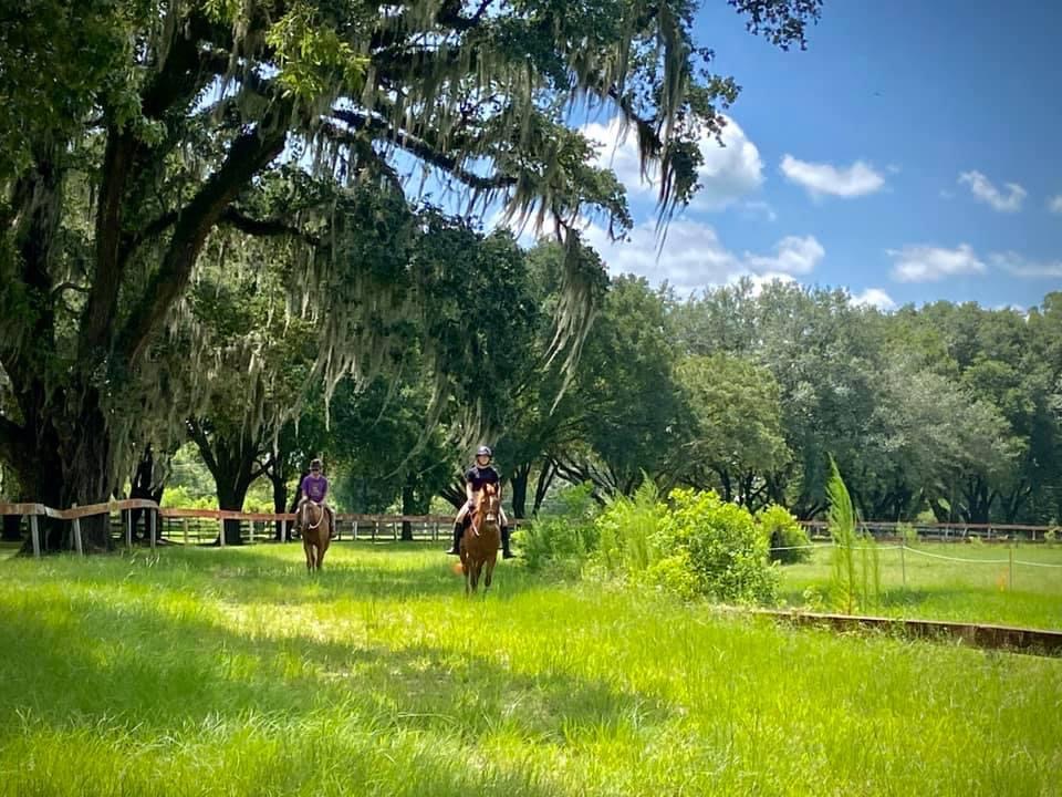 1/2 mile track