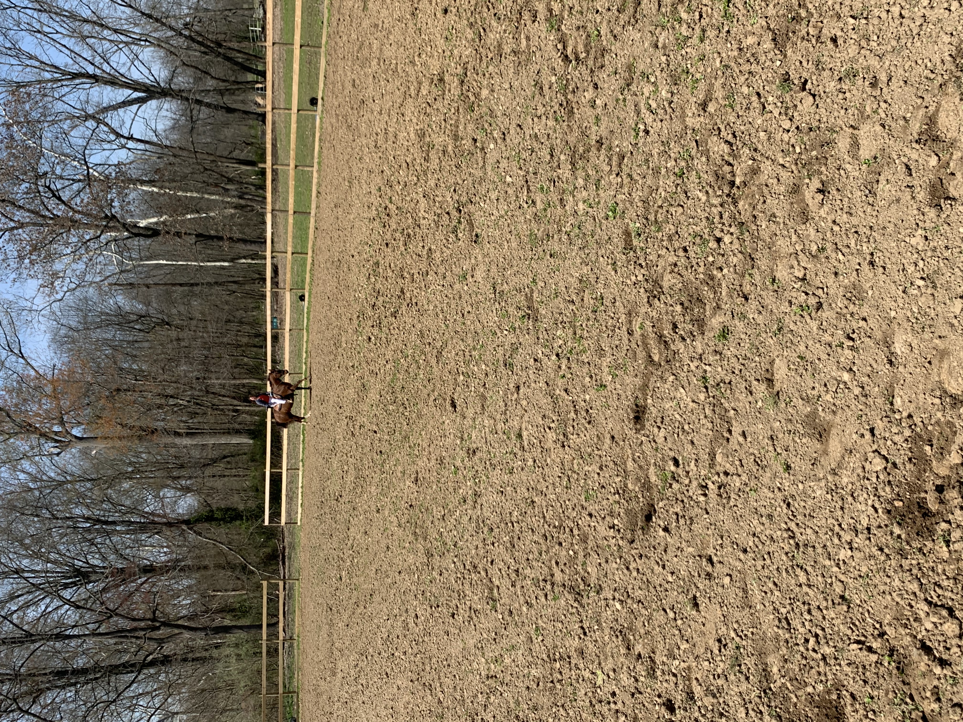 outdoor arena