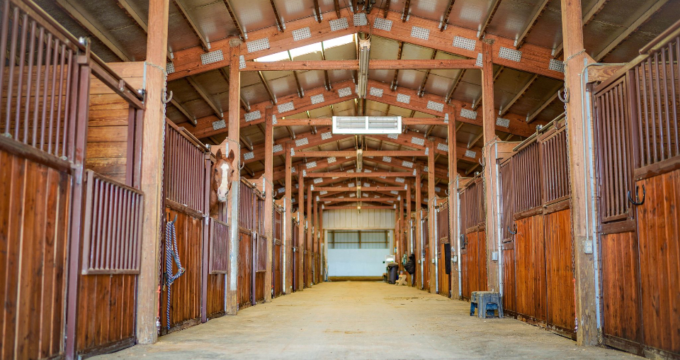 Stalls
