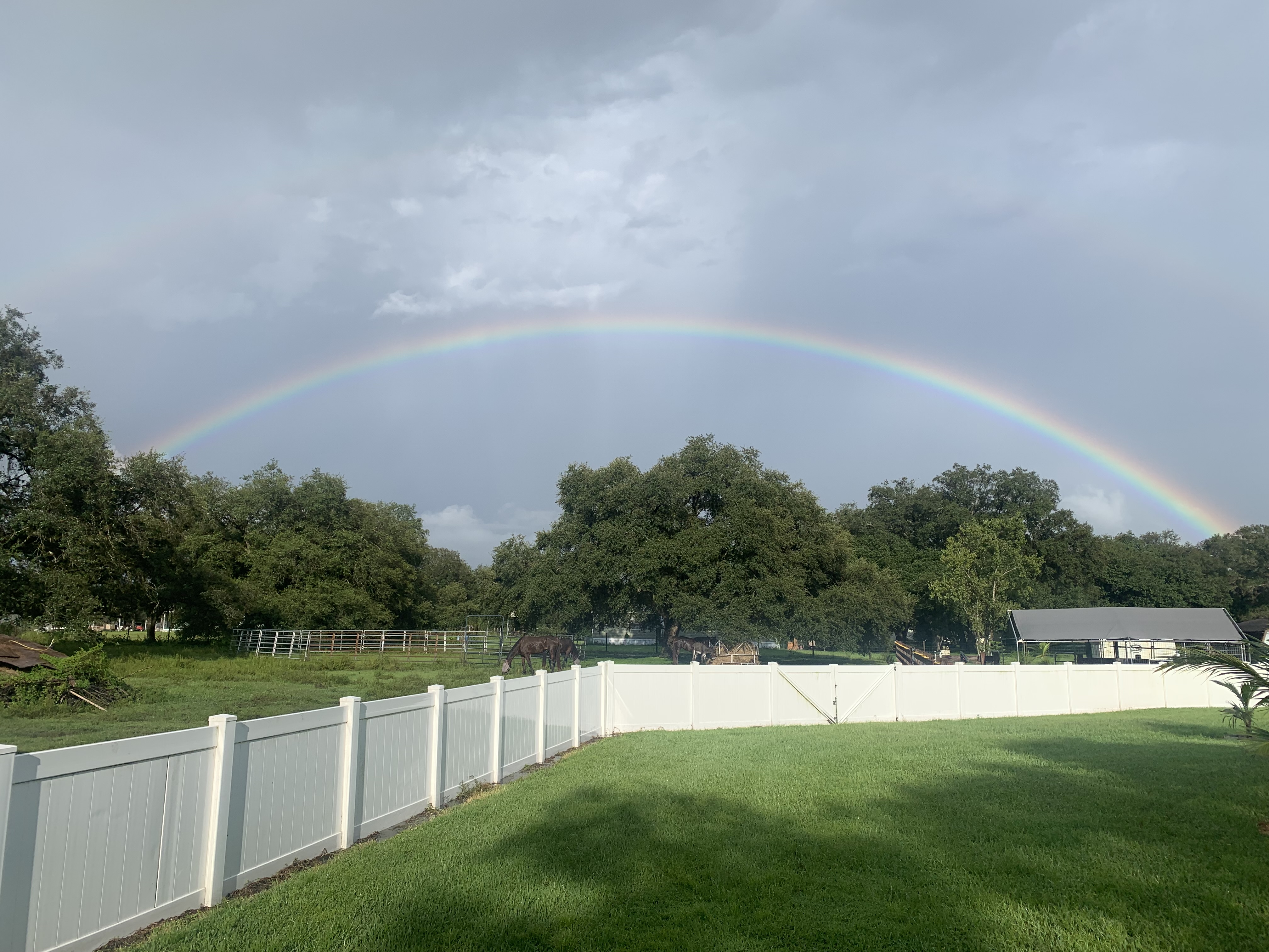 🌈