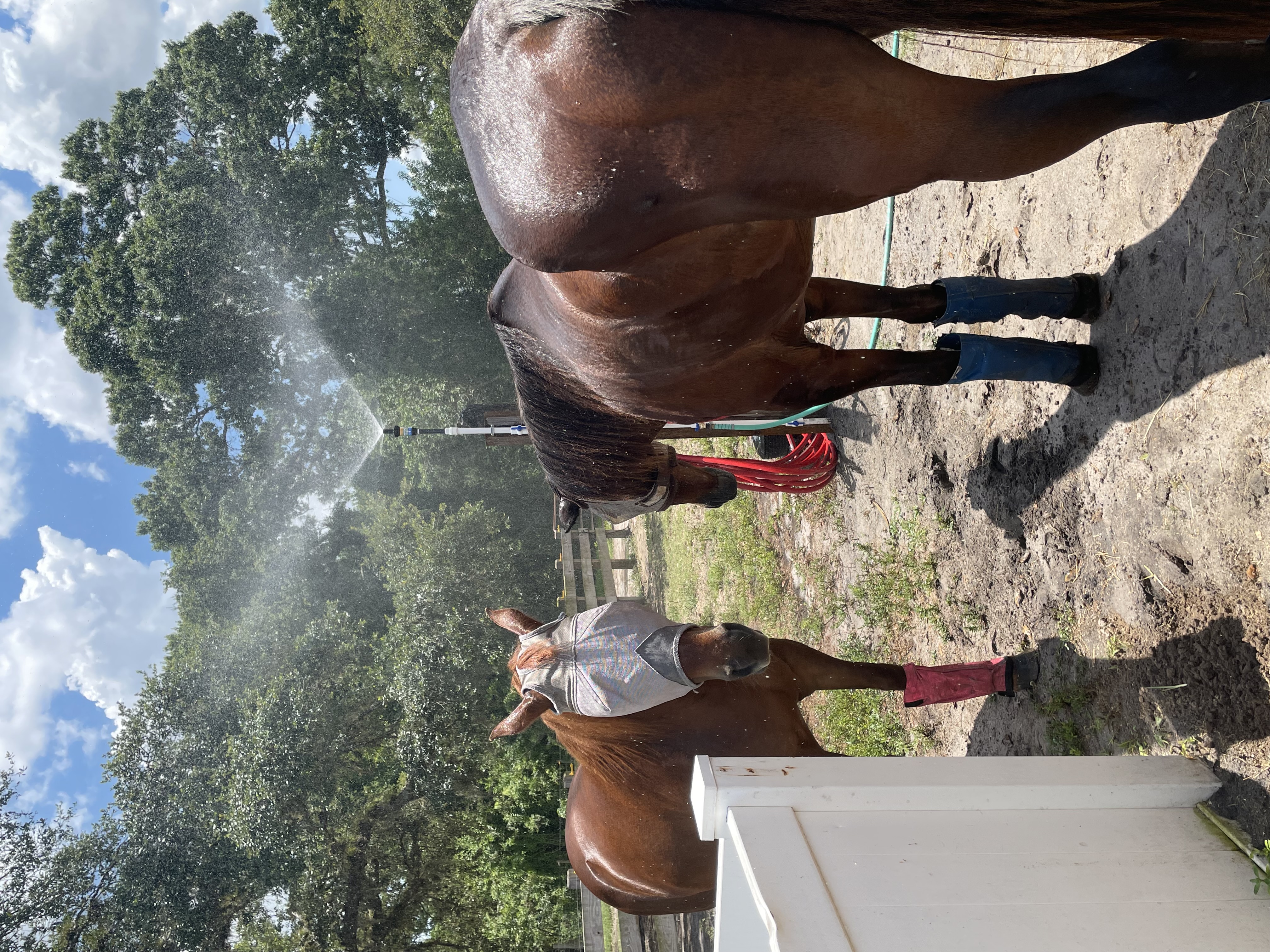 Shower Time