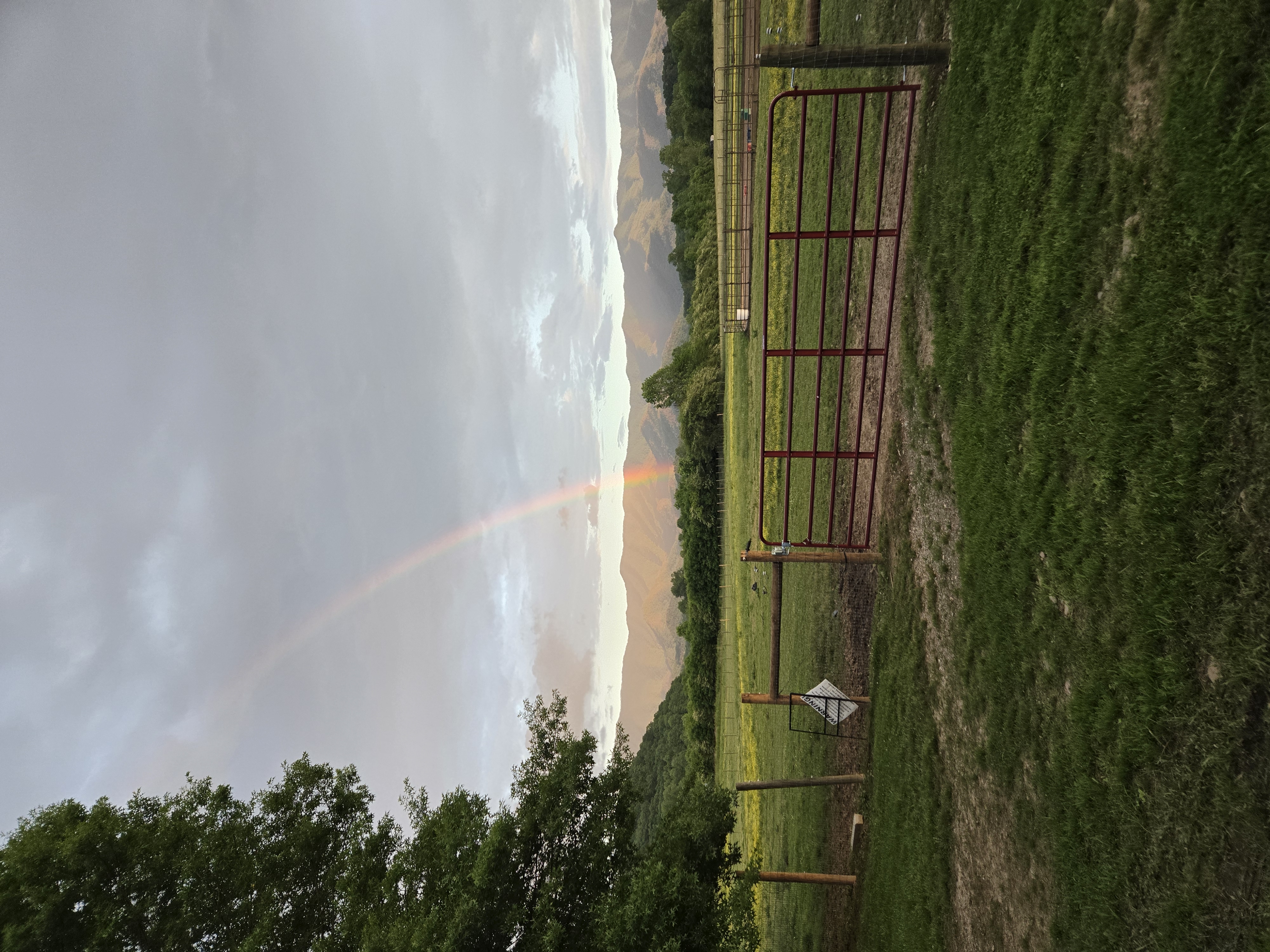 Back pasture