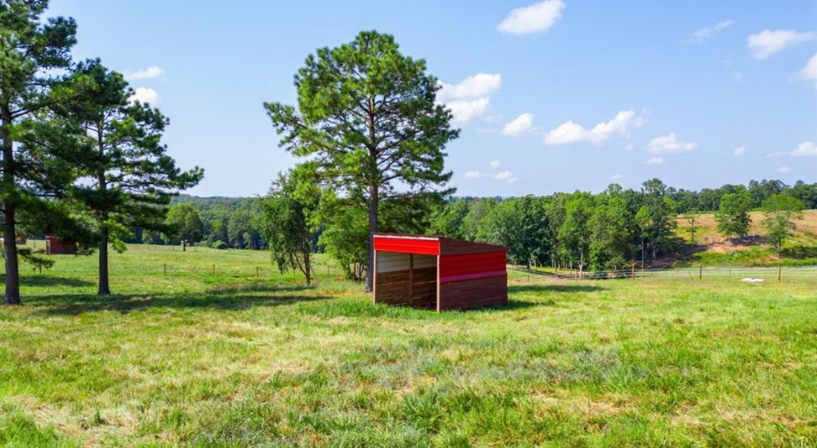 Run in Shed