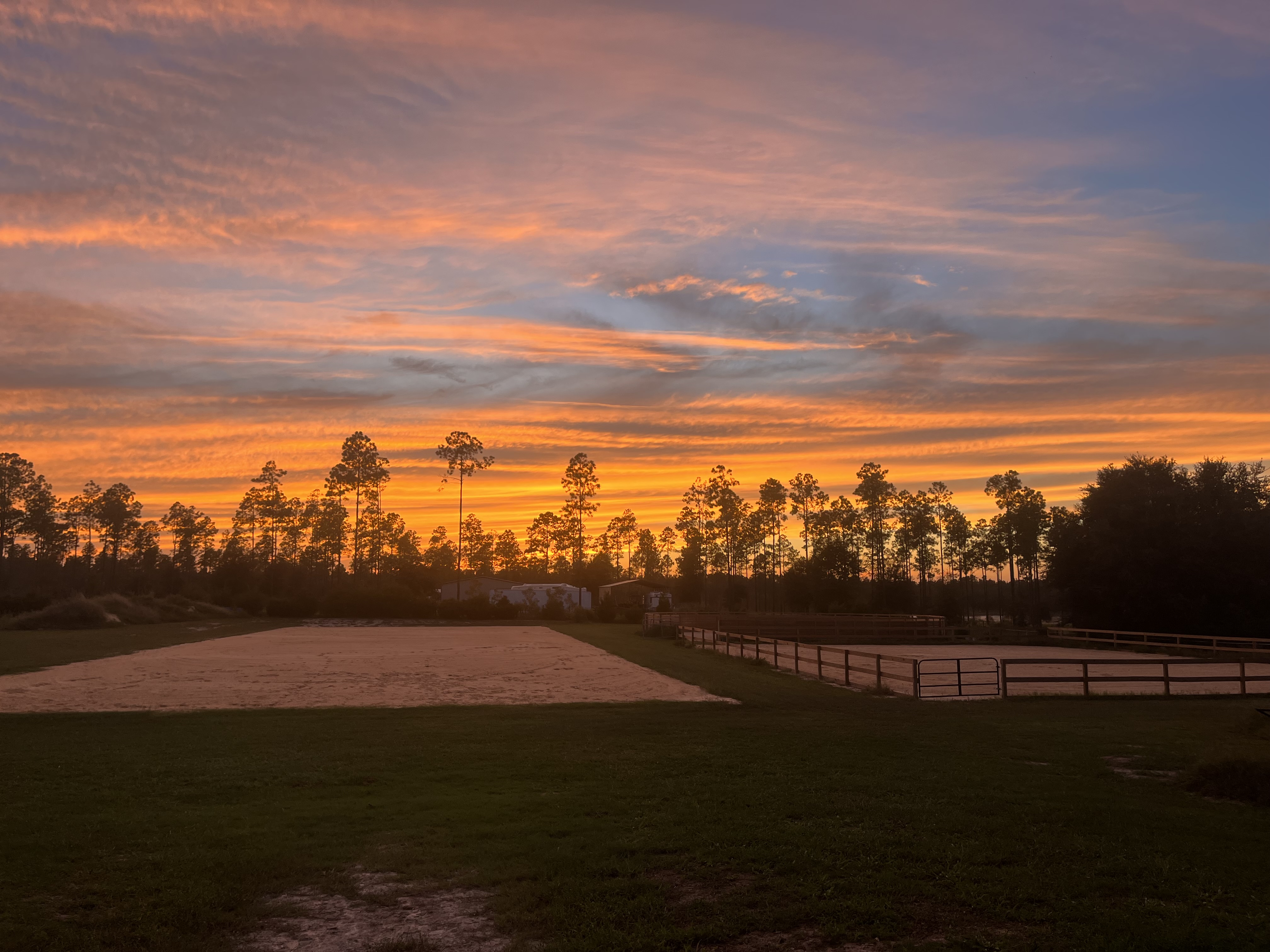 One of our gorgeous sunsets. The Goethe Forest sits behind us