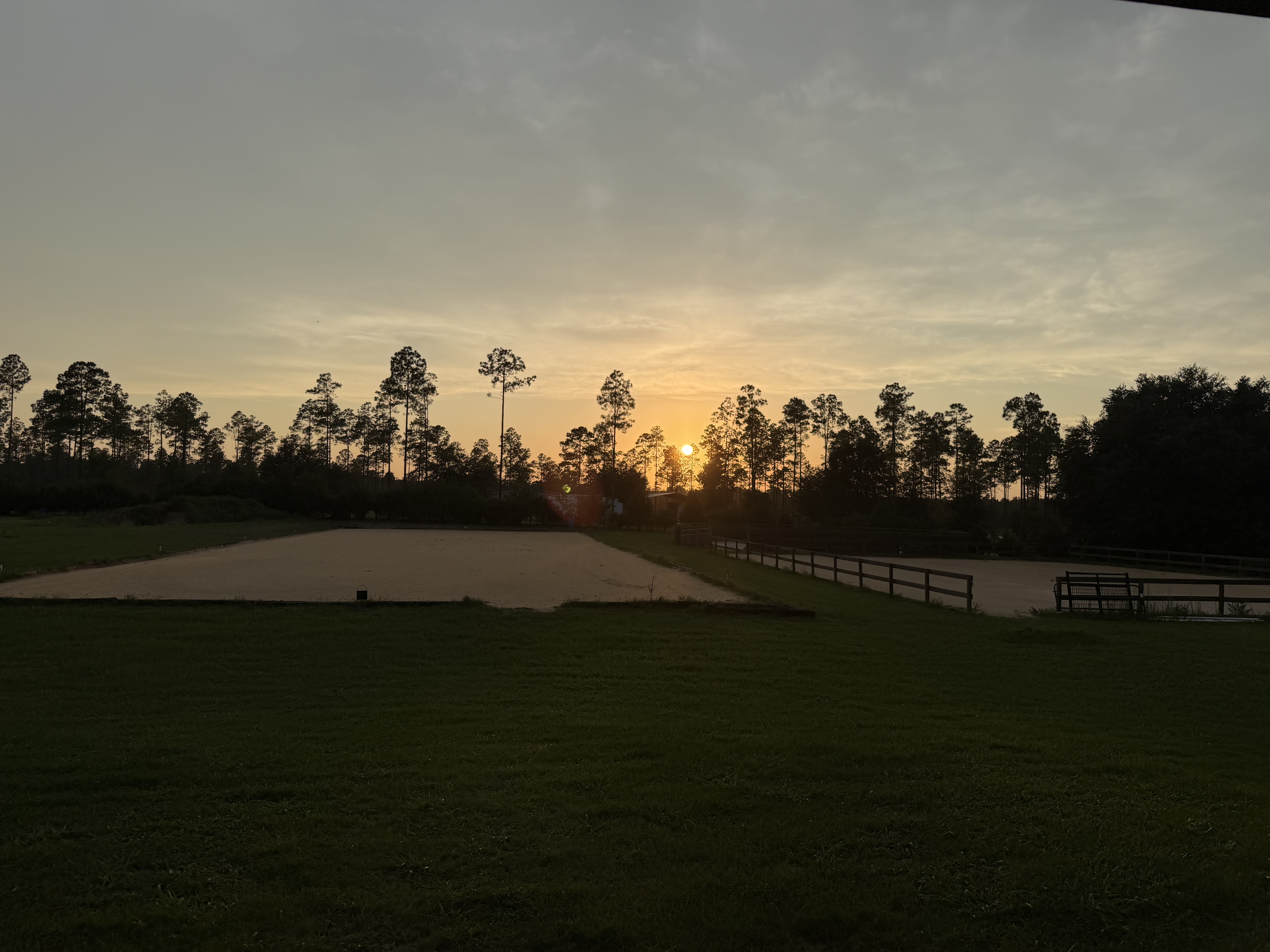 Evening at the farm