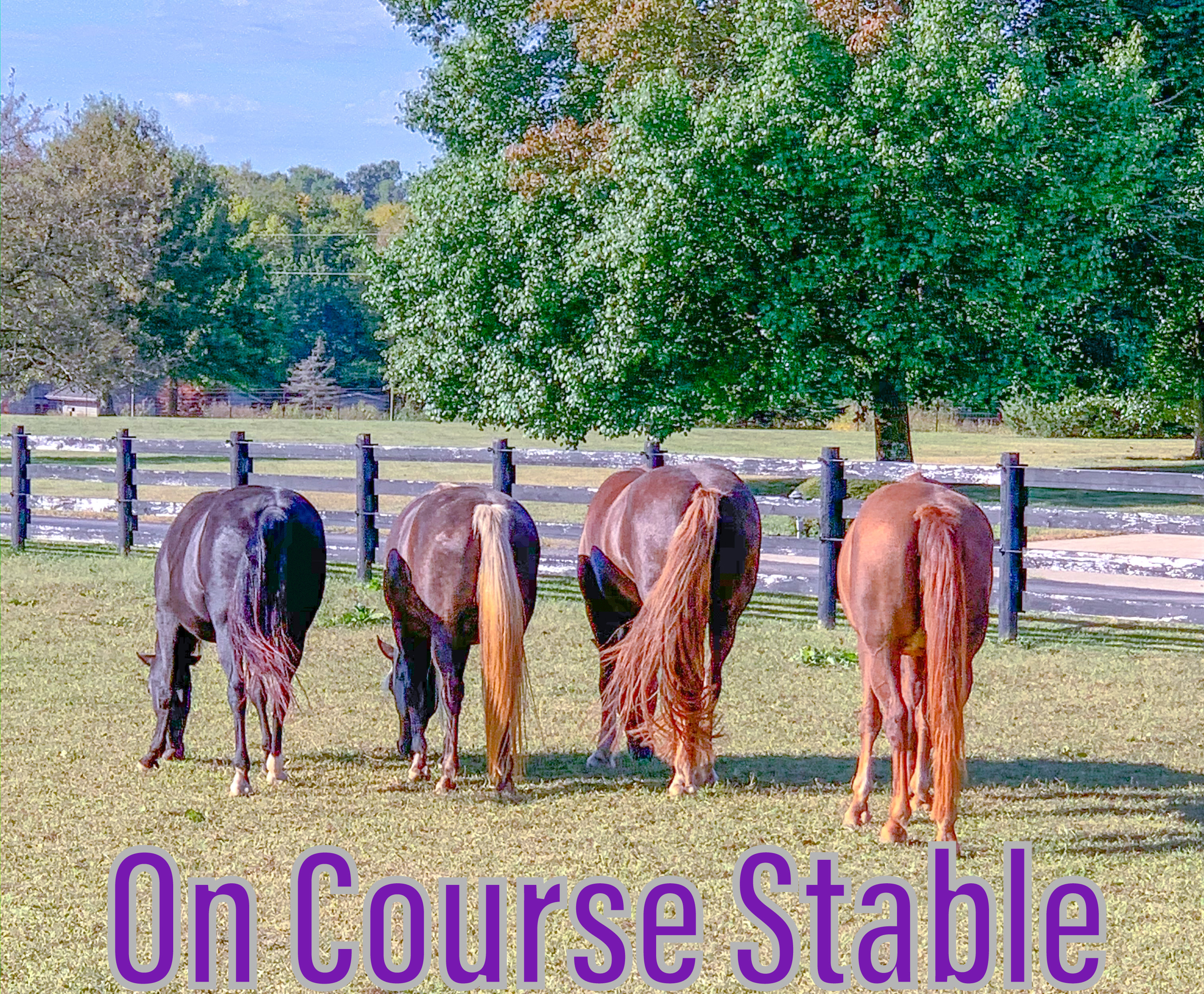 On Course Stable