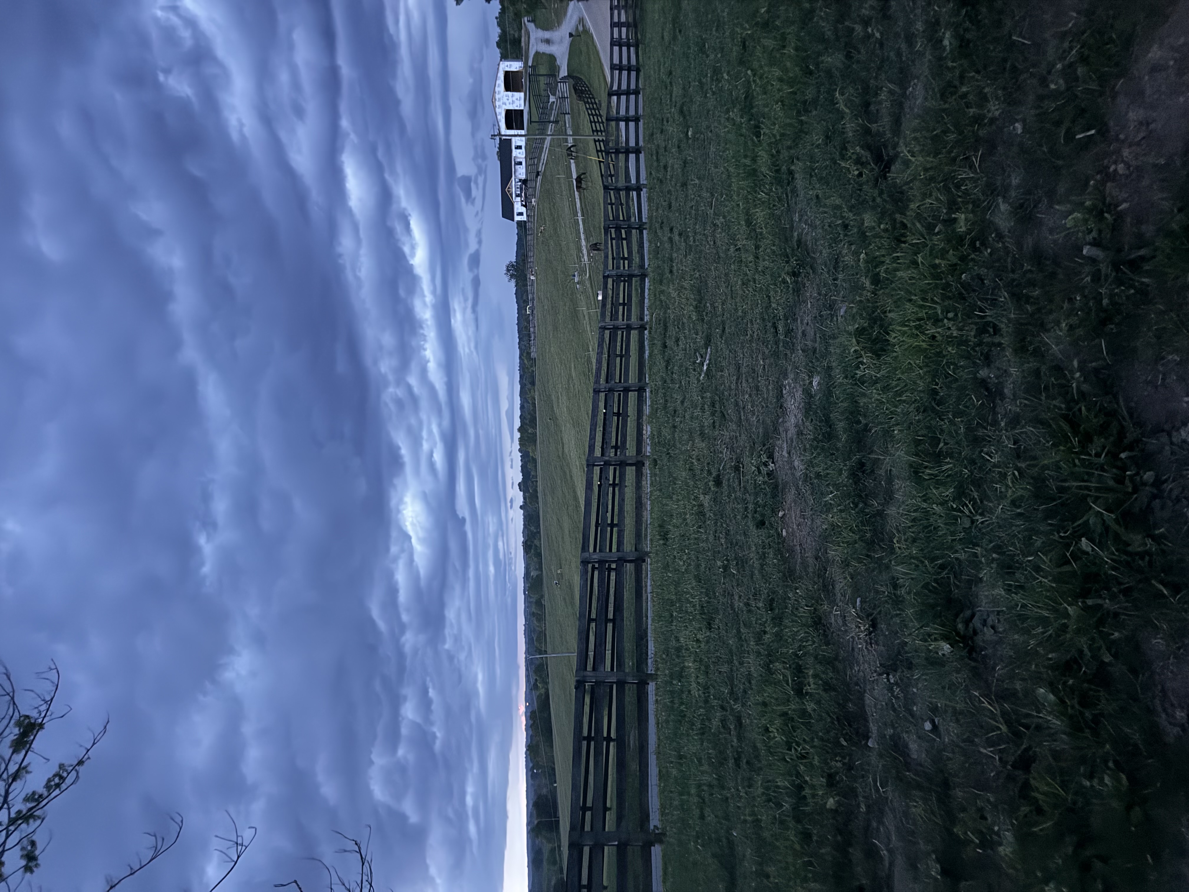 Pasture 5