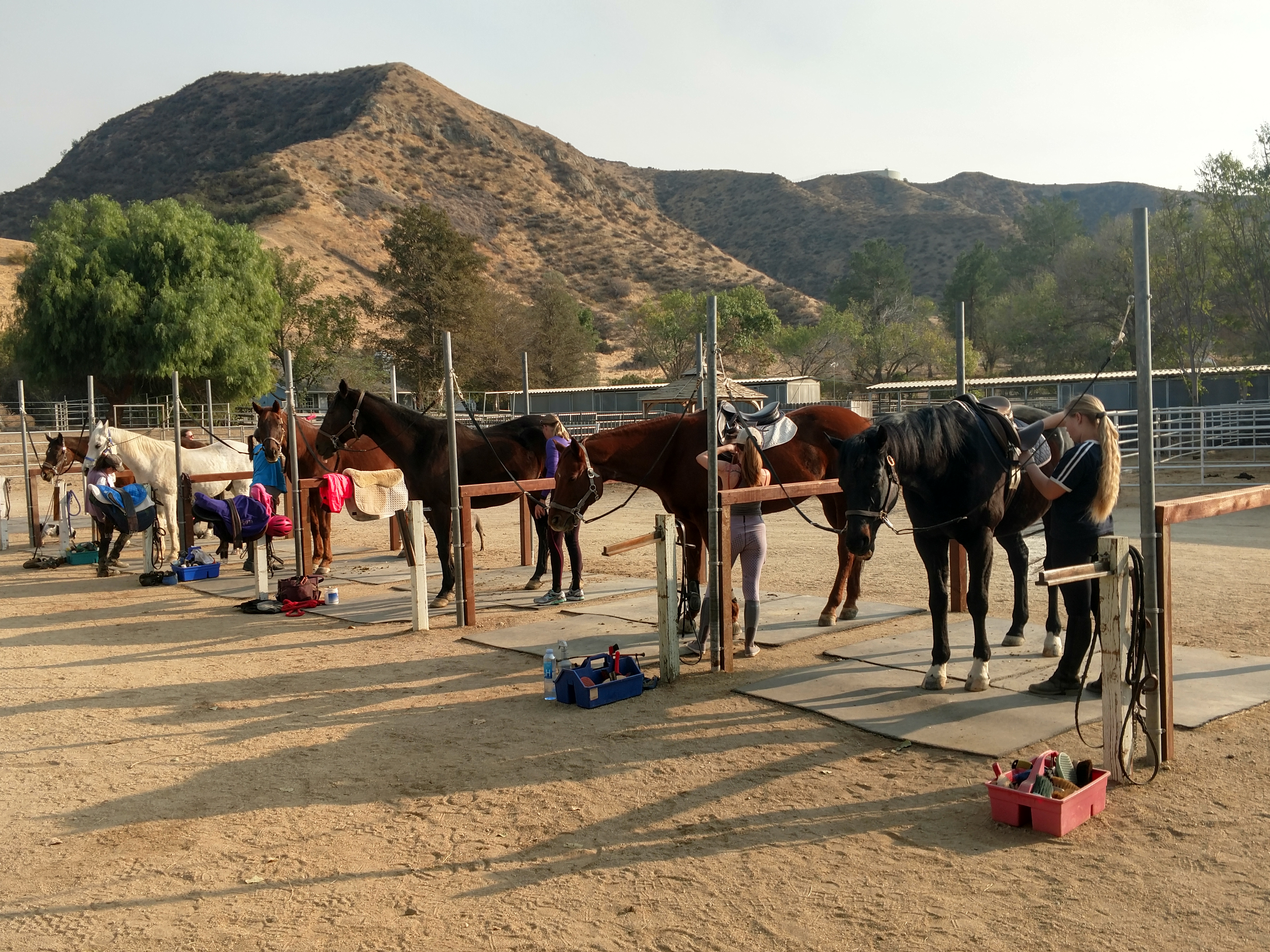 grooming area