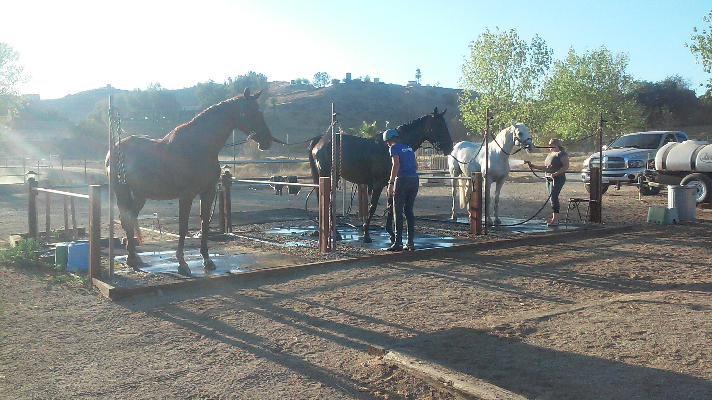 wash racks