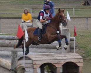 Tabasco x-c